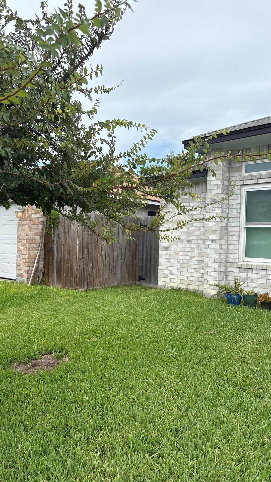 Windows on Quebec  by Bayfront Roofing and Construction