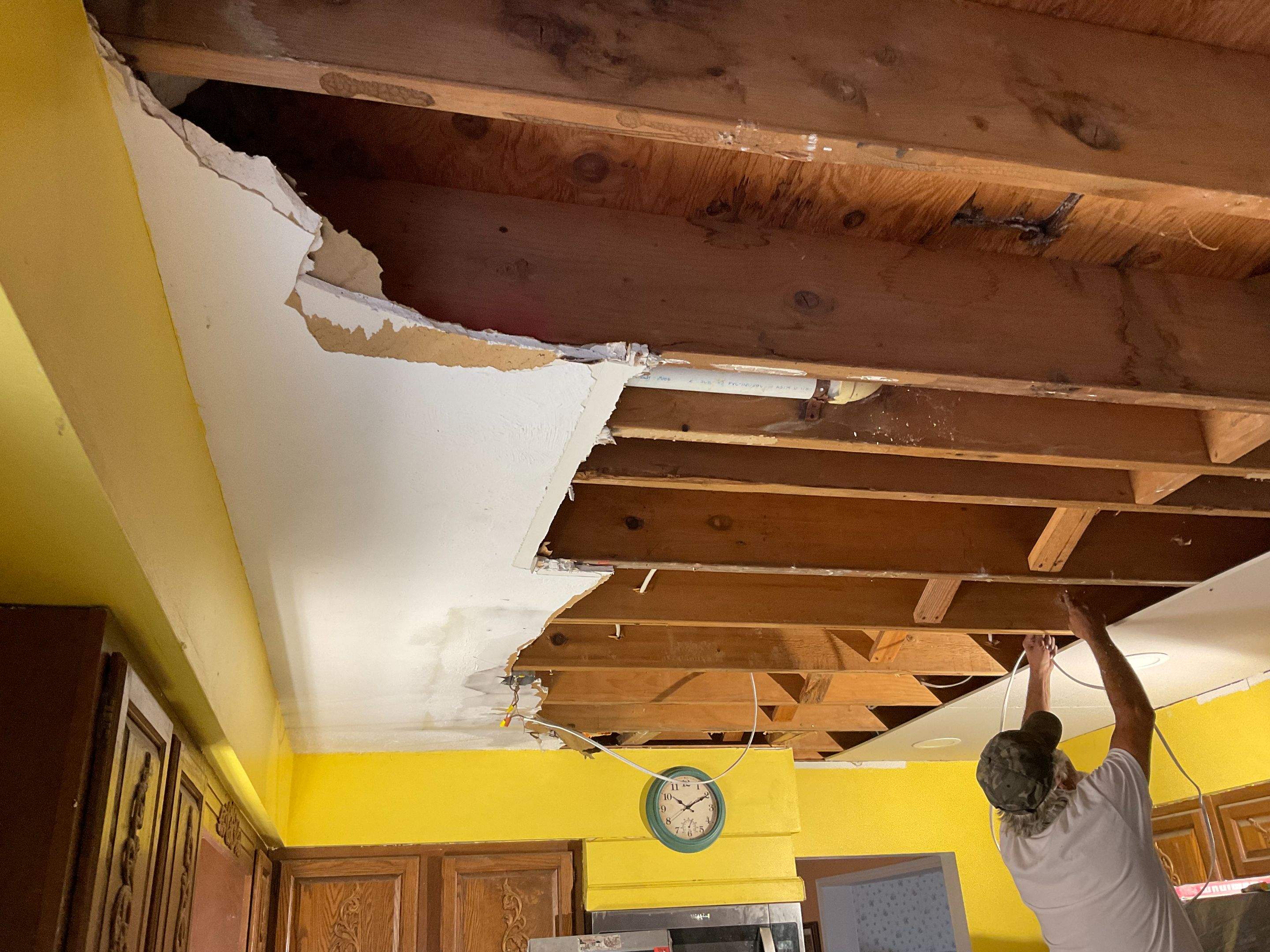 Ceiling Repair by Alpha Design Services