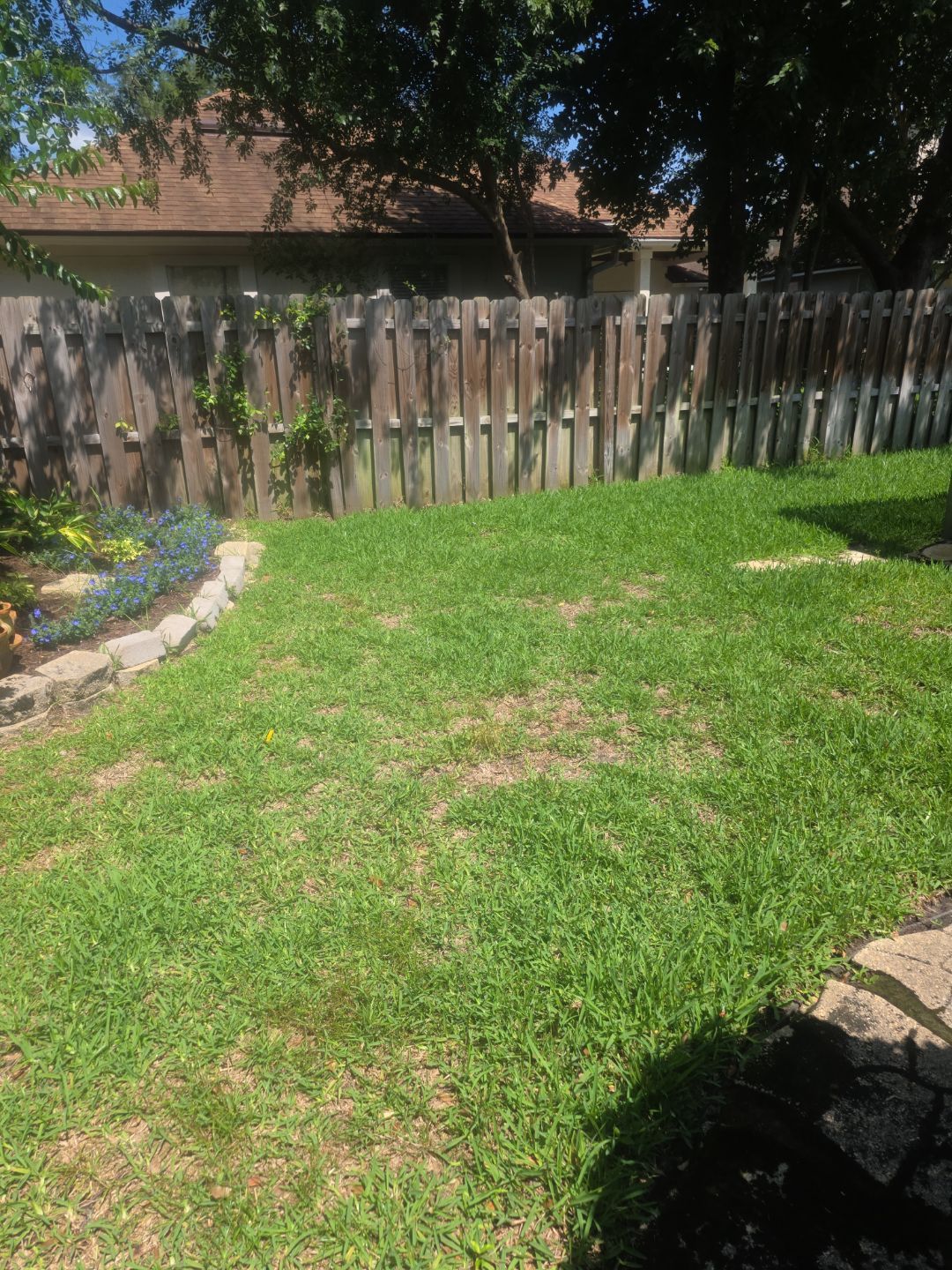 Deerwood Resident | Sod Install by ProGreen Services
