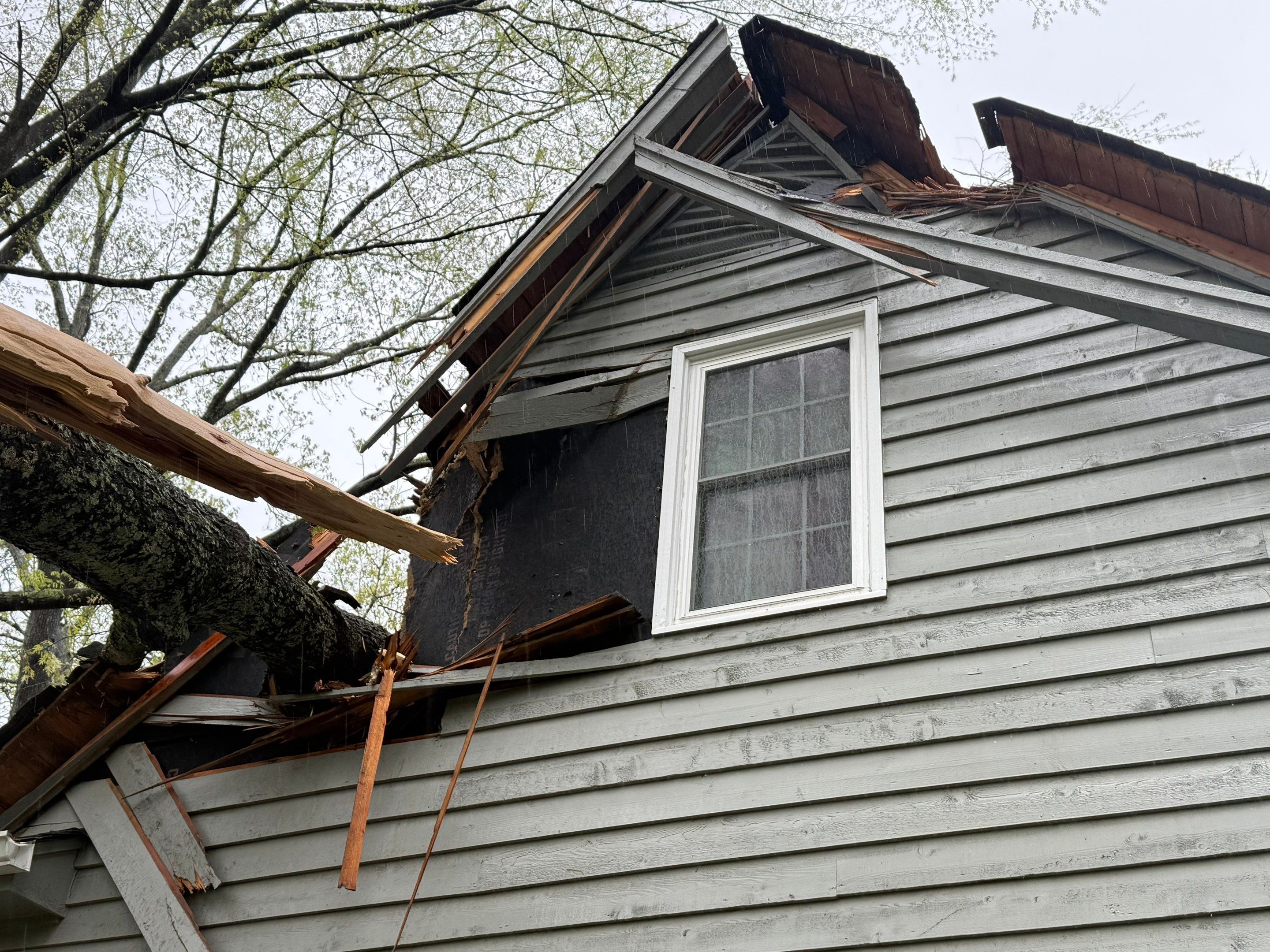Collierville Roof Replacement Following Major Tree Impact Damage with interior repairs by Revival Roofing Services
