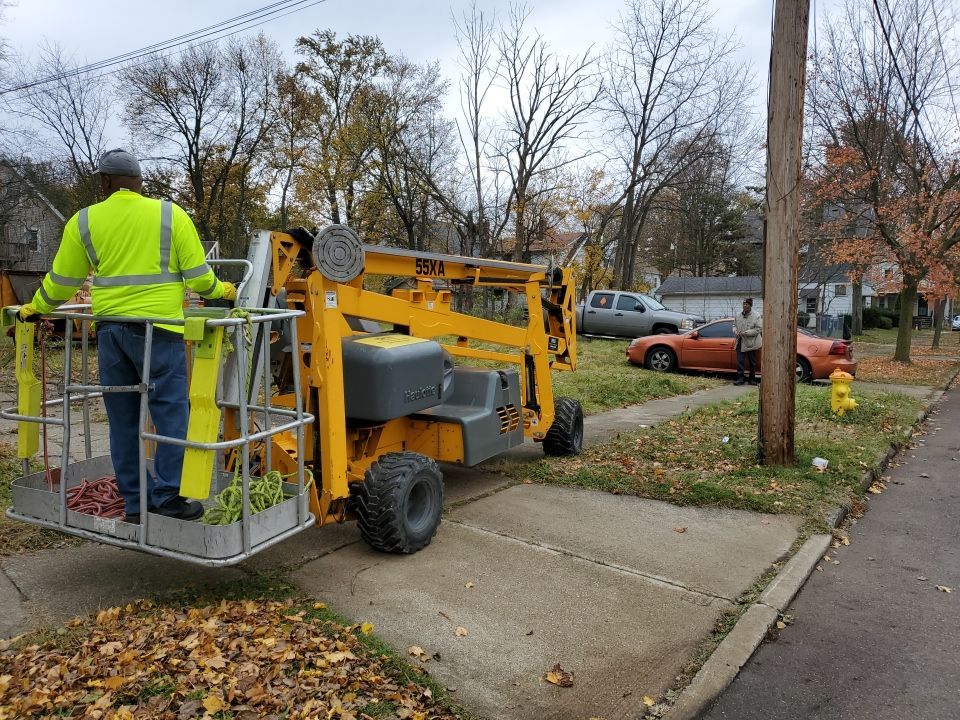 Tree Removal using Tree Removal by Mike Jones & Sons Tree Service LLC 