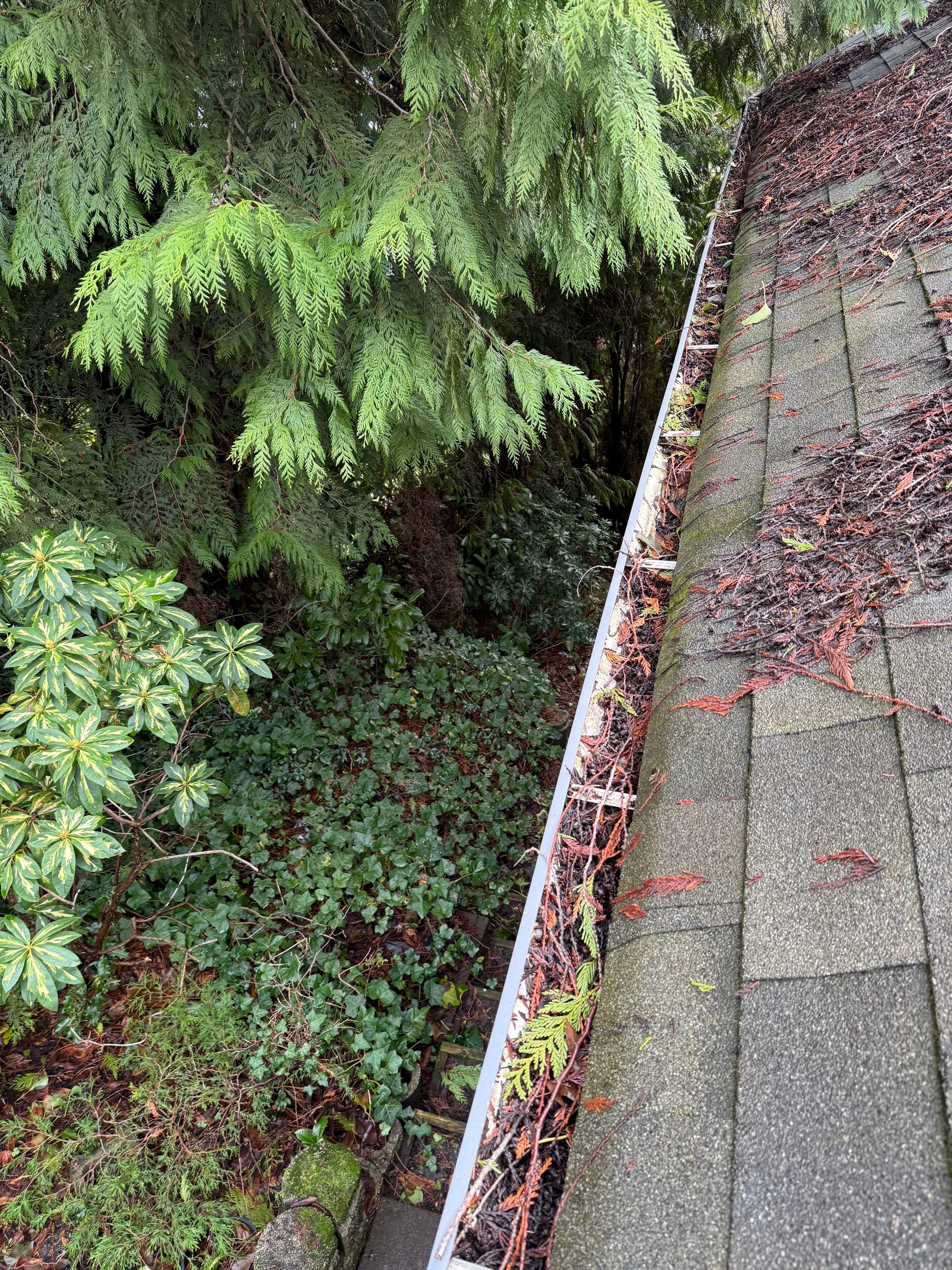 Gutter Cleaning by YVR Construction Group