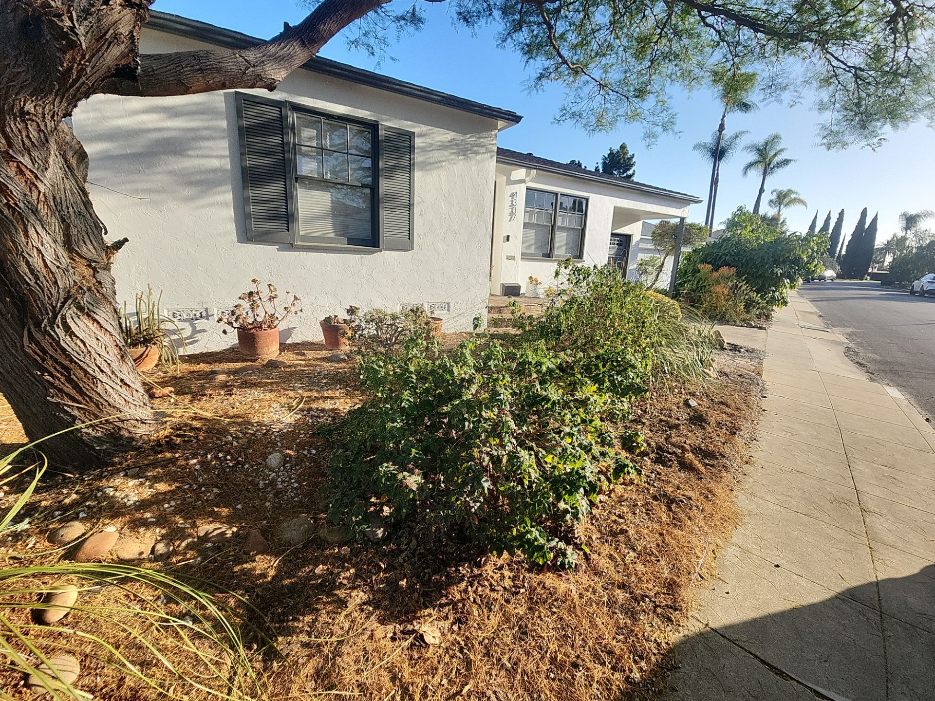 Xeriscape Transformation with River Rock and Irrigation in San Diego by Yard Techs