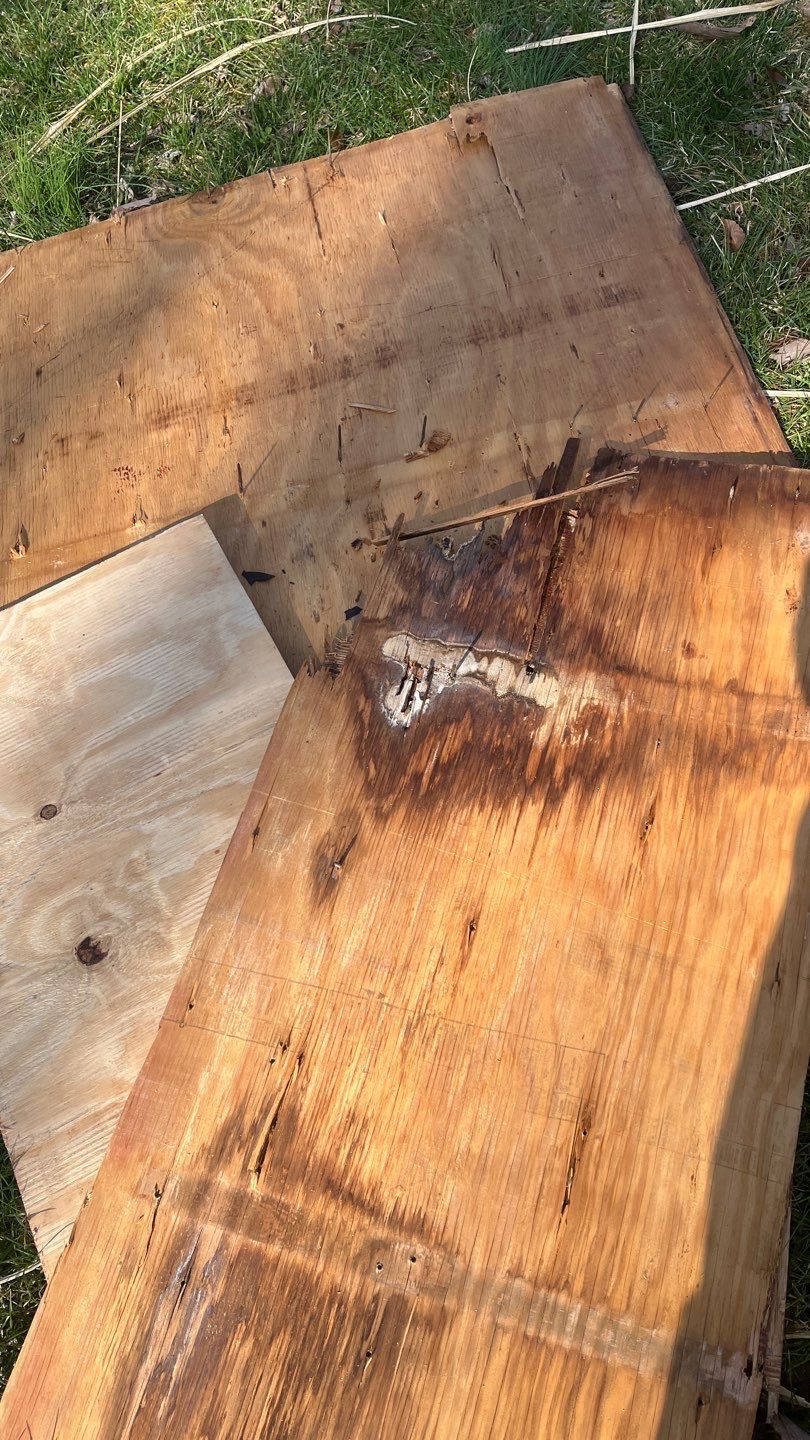 Project by Elvis General Construction LLC by Elvis General Construction LLC