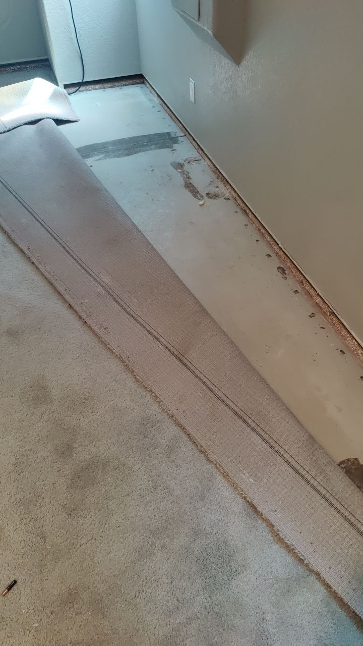 Mold Remediation  by Accountable Home Services