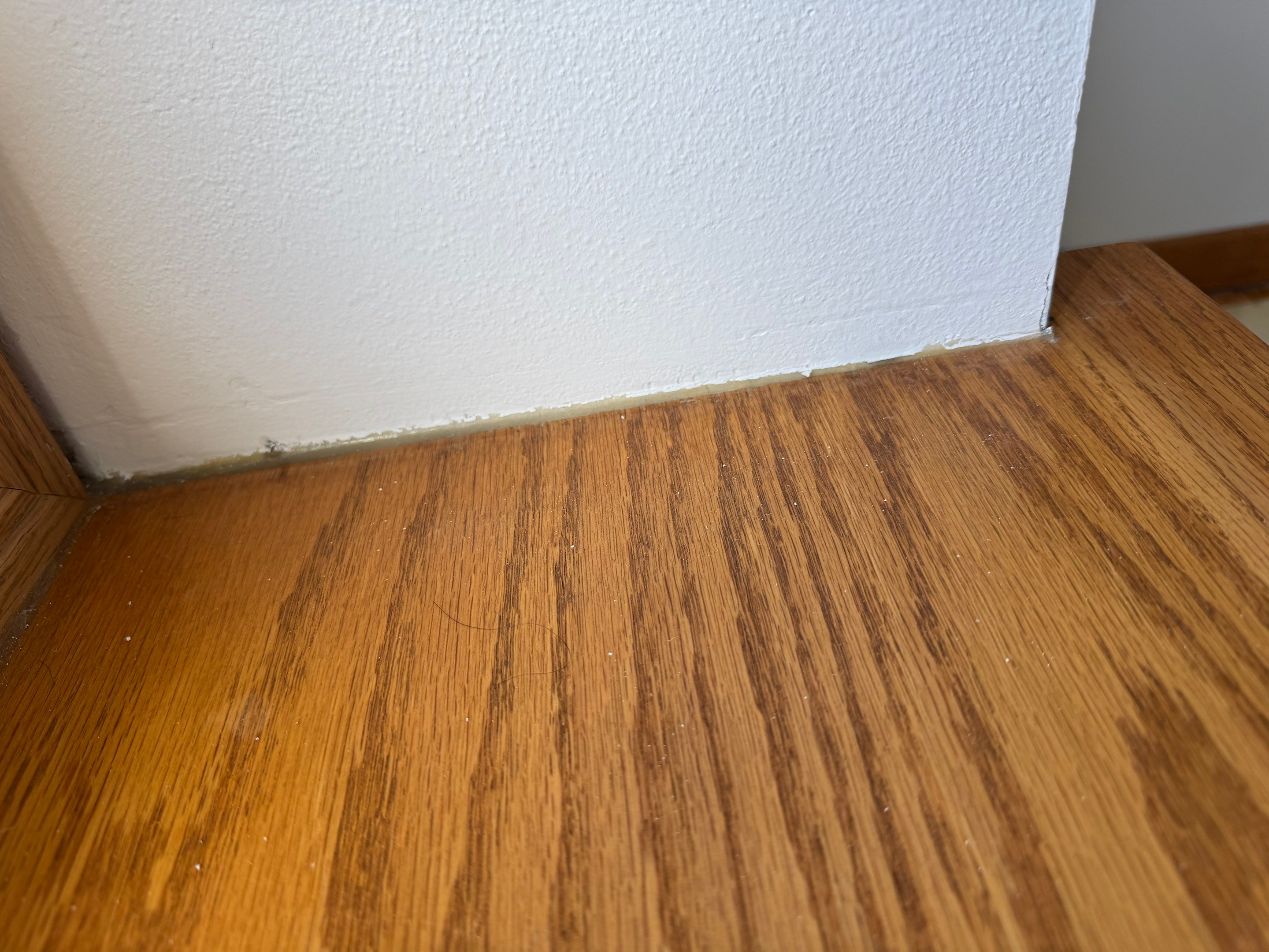 Walls Finishing by OCS Contracting Services