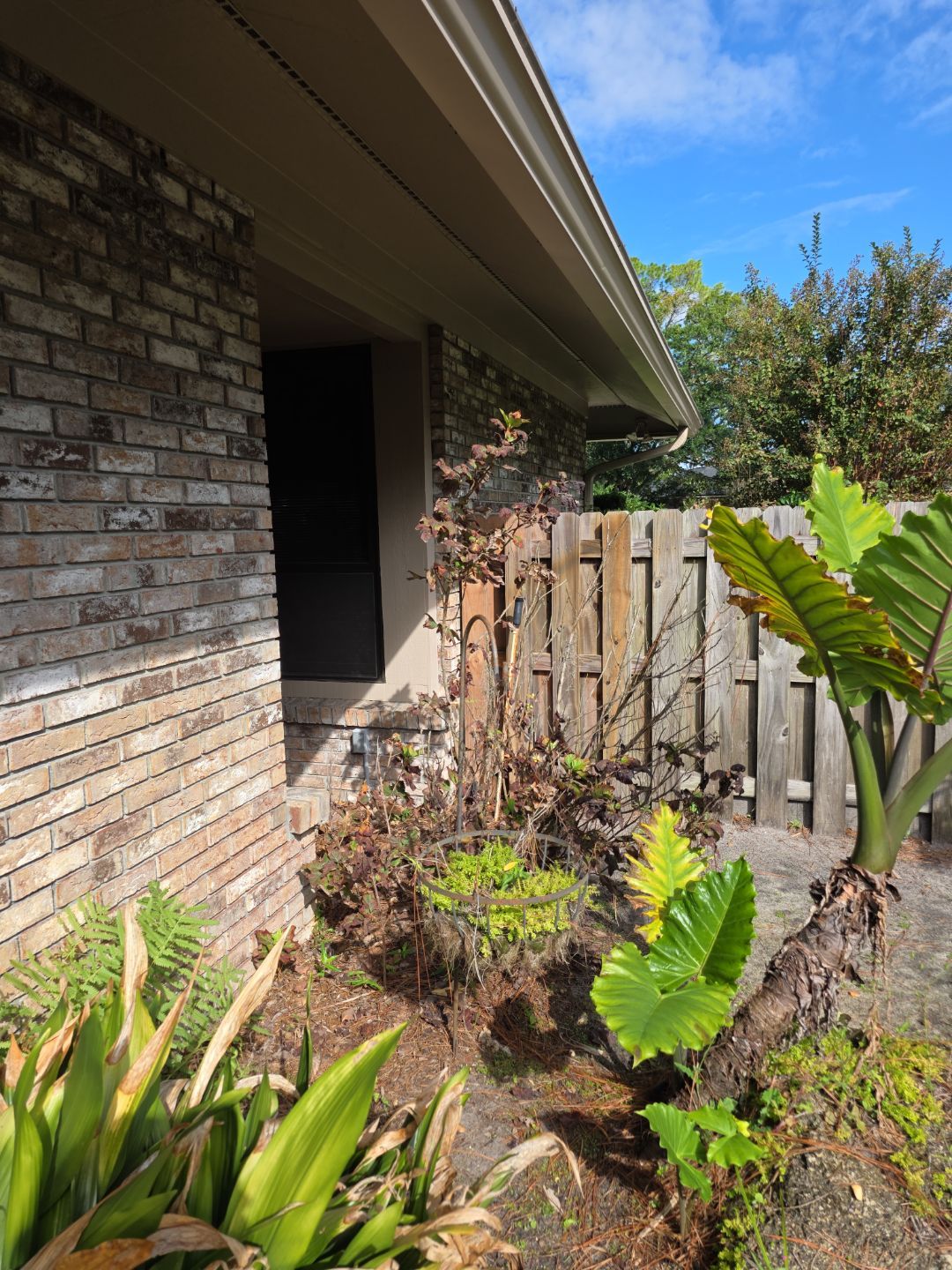 Deerwood Resident | Freshen Up Project by ProGreen Services