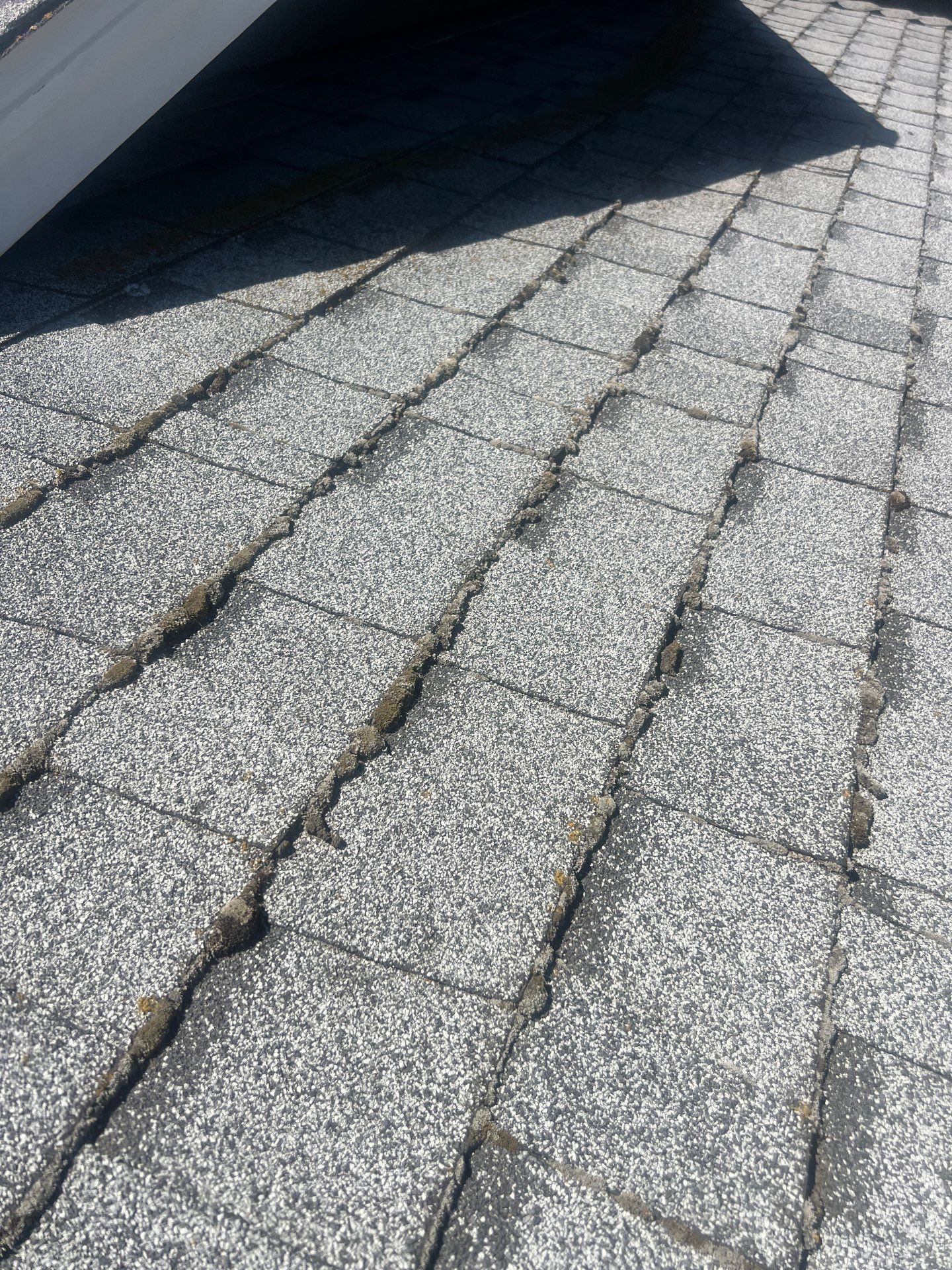 Roof Rejuvenation using Roof Maxx Treatment by Roof Maxx of Folsom