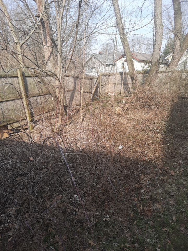 Tree Removal using Tree Removal by Mike Jones & Sons Tree Service LLC 