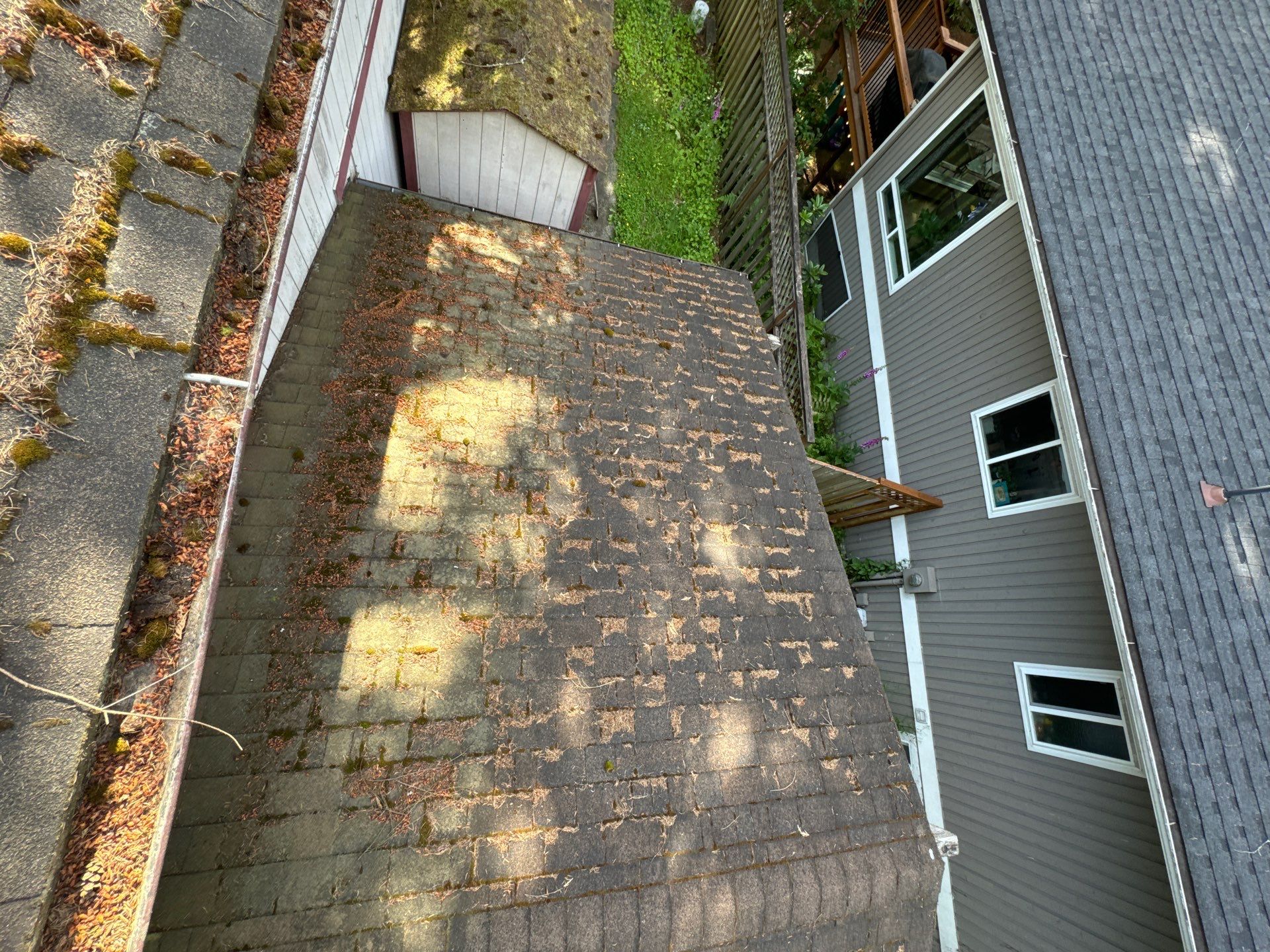 Project in Edmonds by Peaks and Valleys Construction