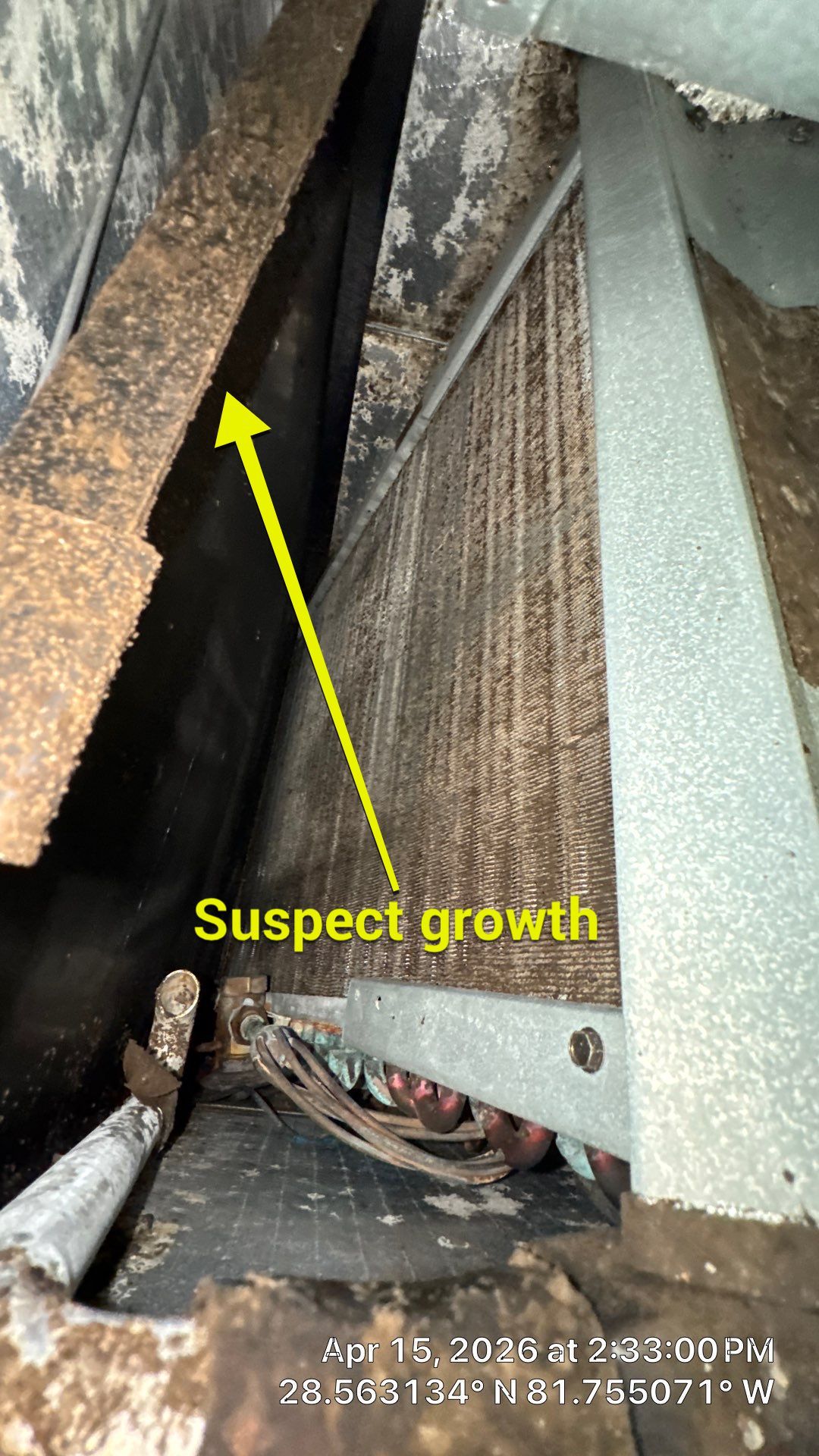 Air Duct Cleaning in Clermont by Hygienic Air, Inc