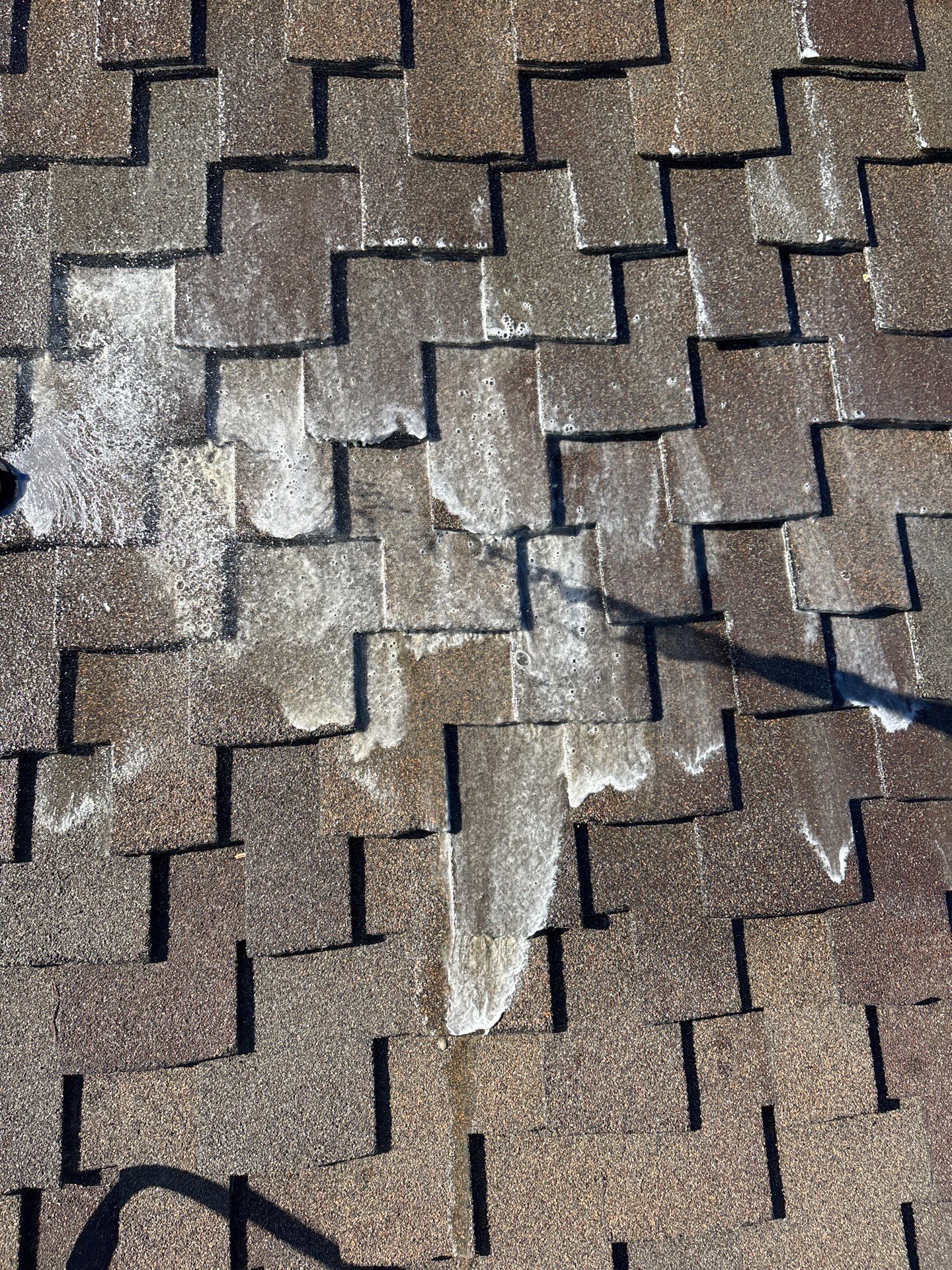 Moss Removal by Top Elevation