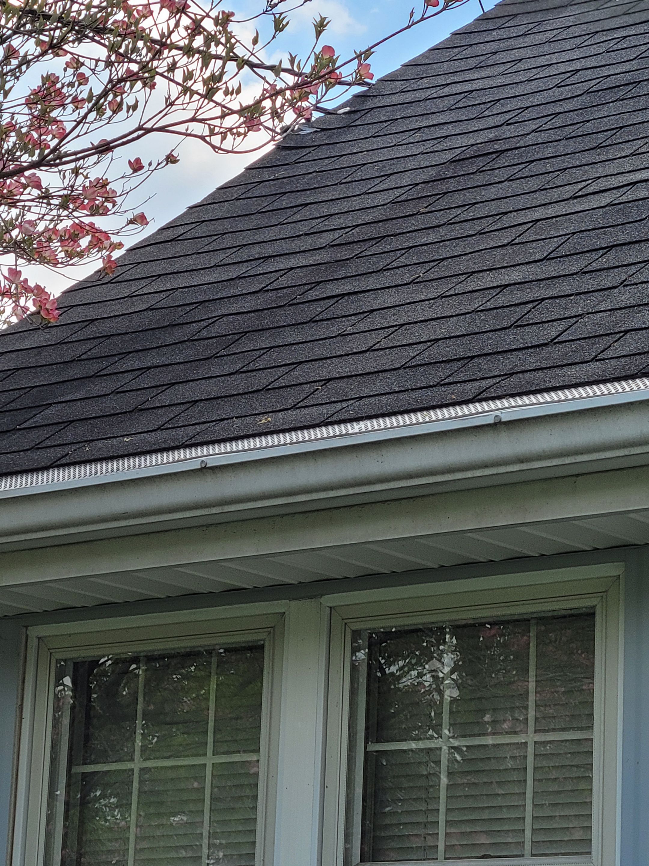 Ashley Green by Silver Leaf Contracting 