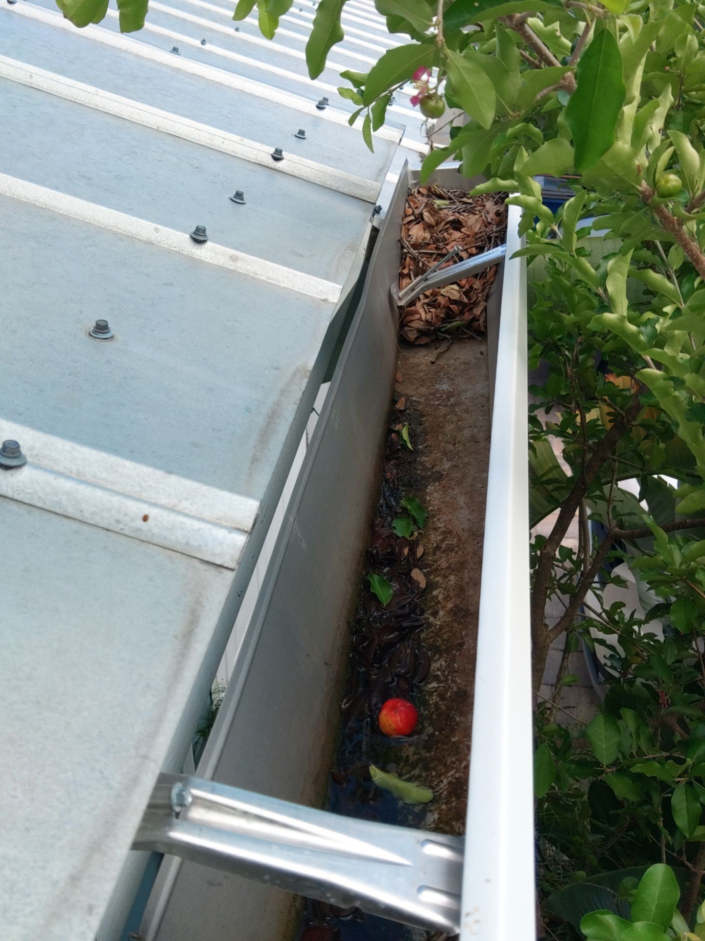 White 6-Inch Gutters and Leaf Guard Installation in Fort Myers FL by Gutter Professors