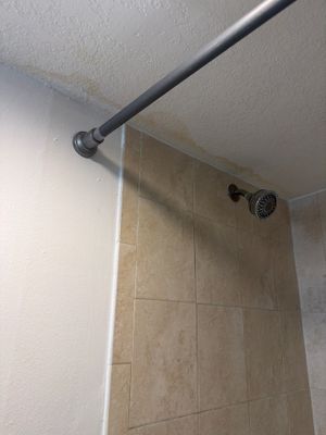 Project in Miami