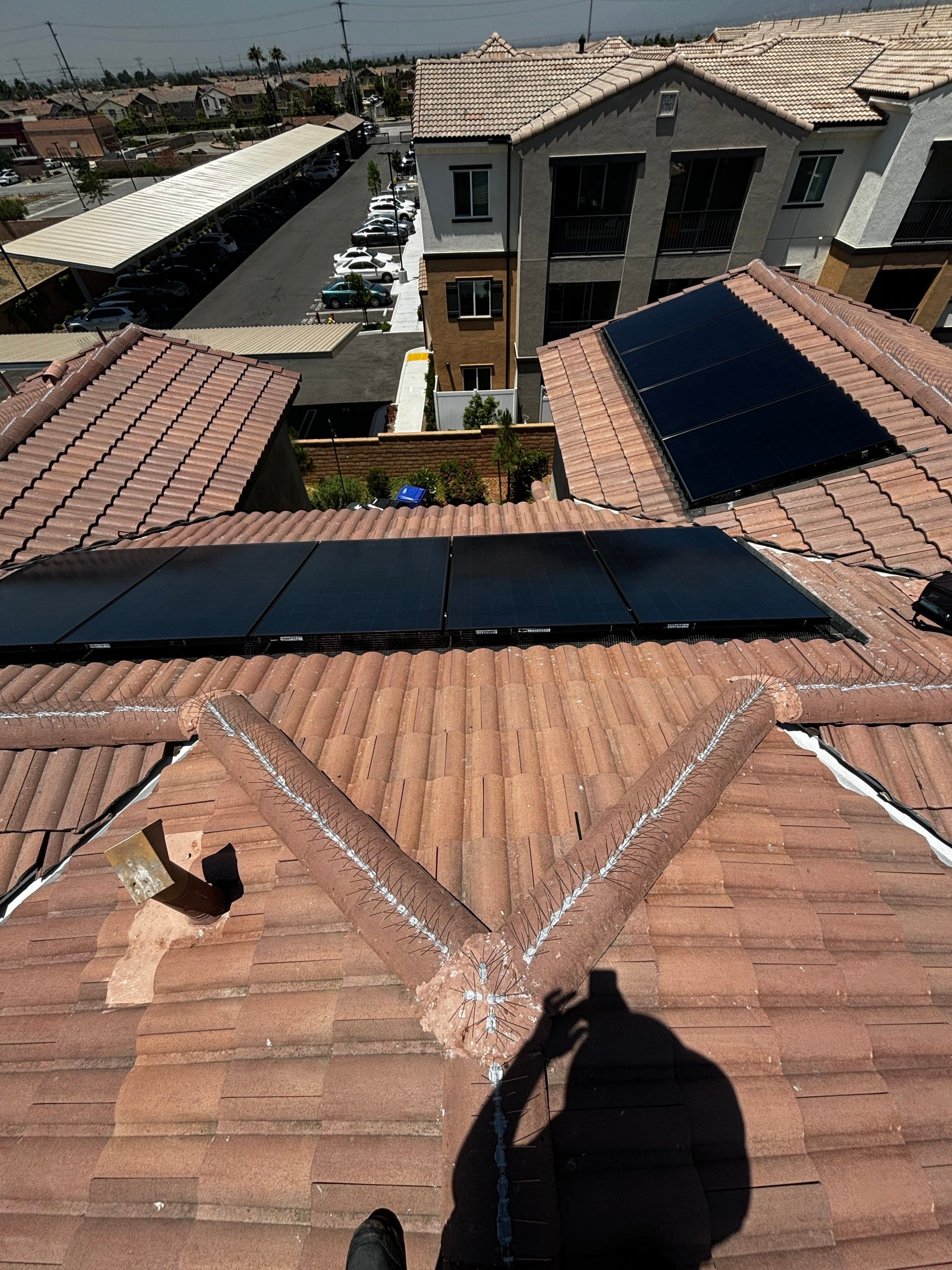 Solar Panel Bird Proofing in Fontana Ca by Palm Coast Solar Cleaning