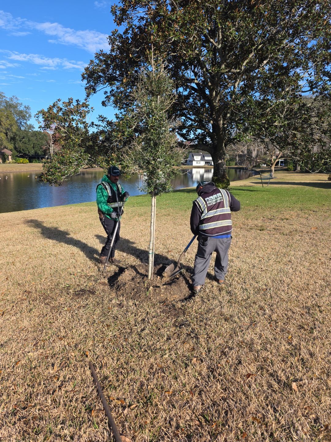Deerwood Resident | Tree Install by ProGreen Services