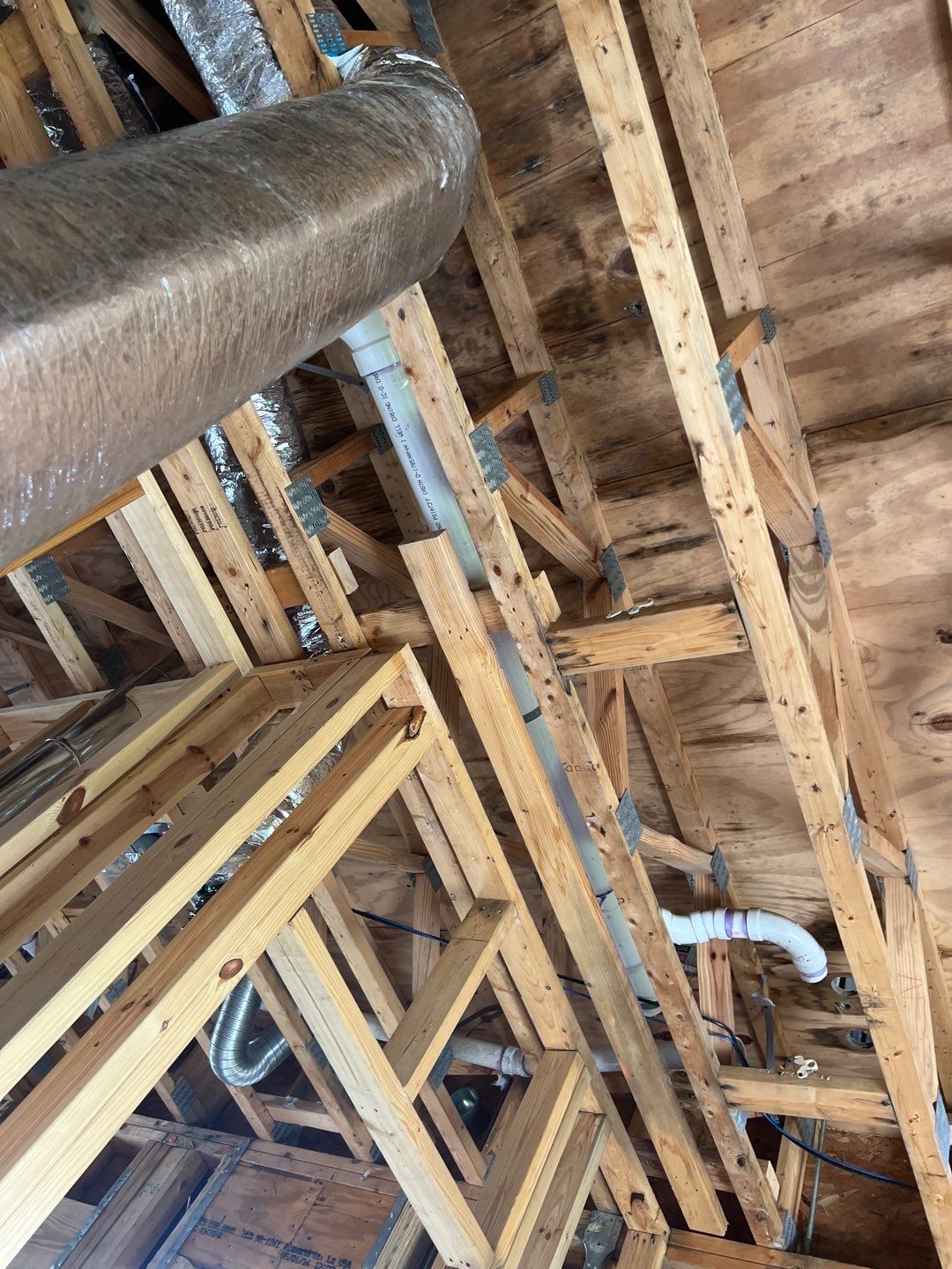 Anna Maria Mold Remediation  by Ampm Restoration Services 