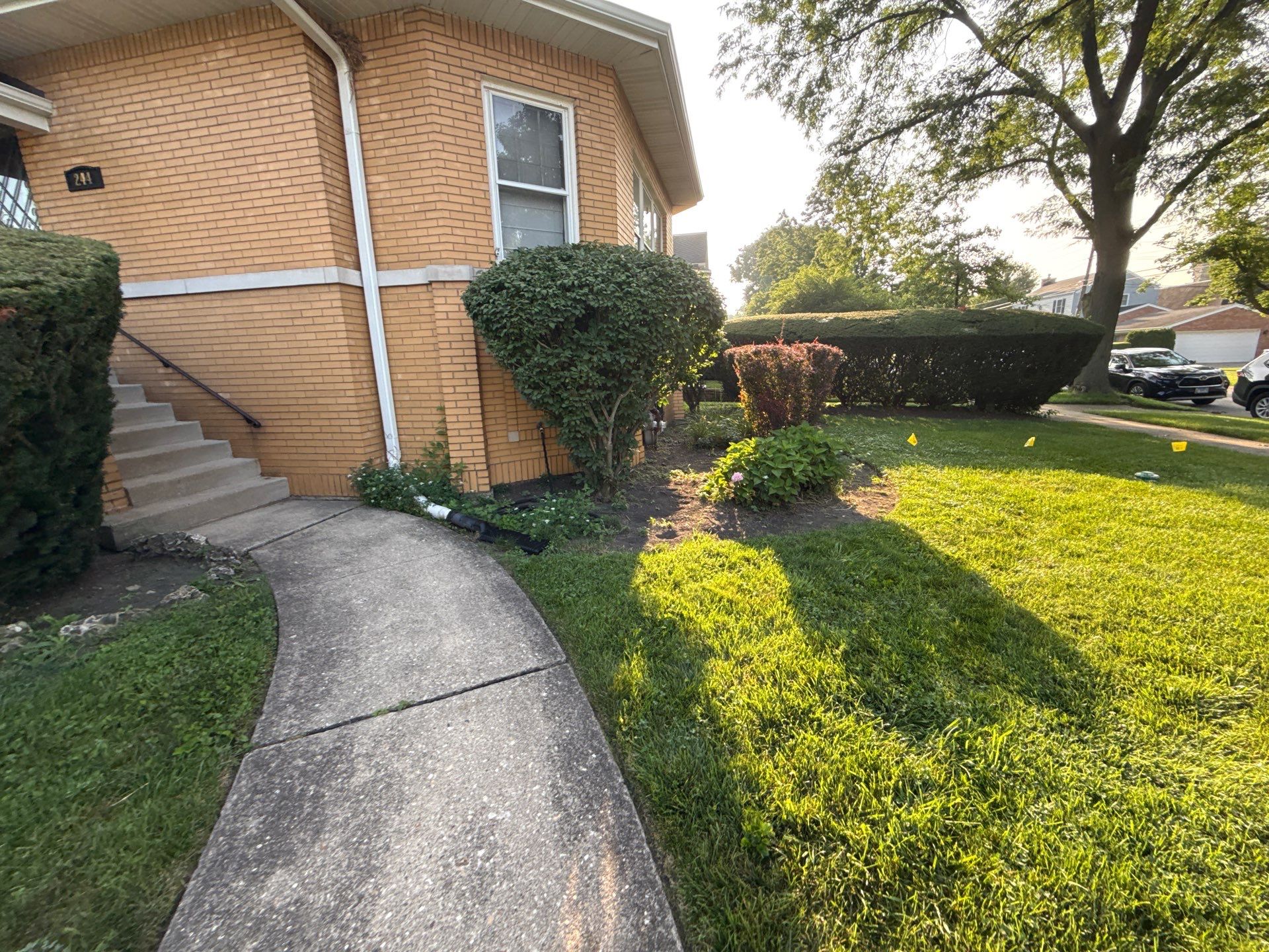 Nancy M. - Park Ridge, IL by A&N