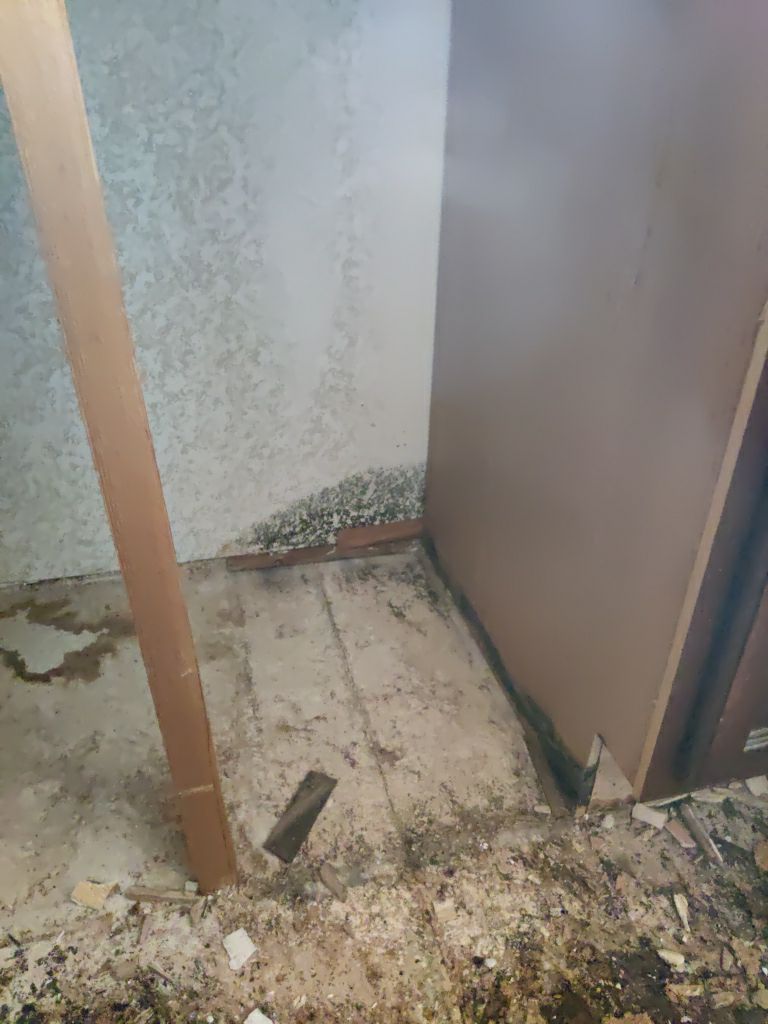 Mold Remediation in Kitchen by Accountable Home Services