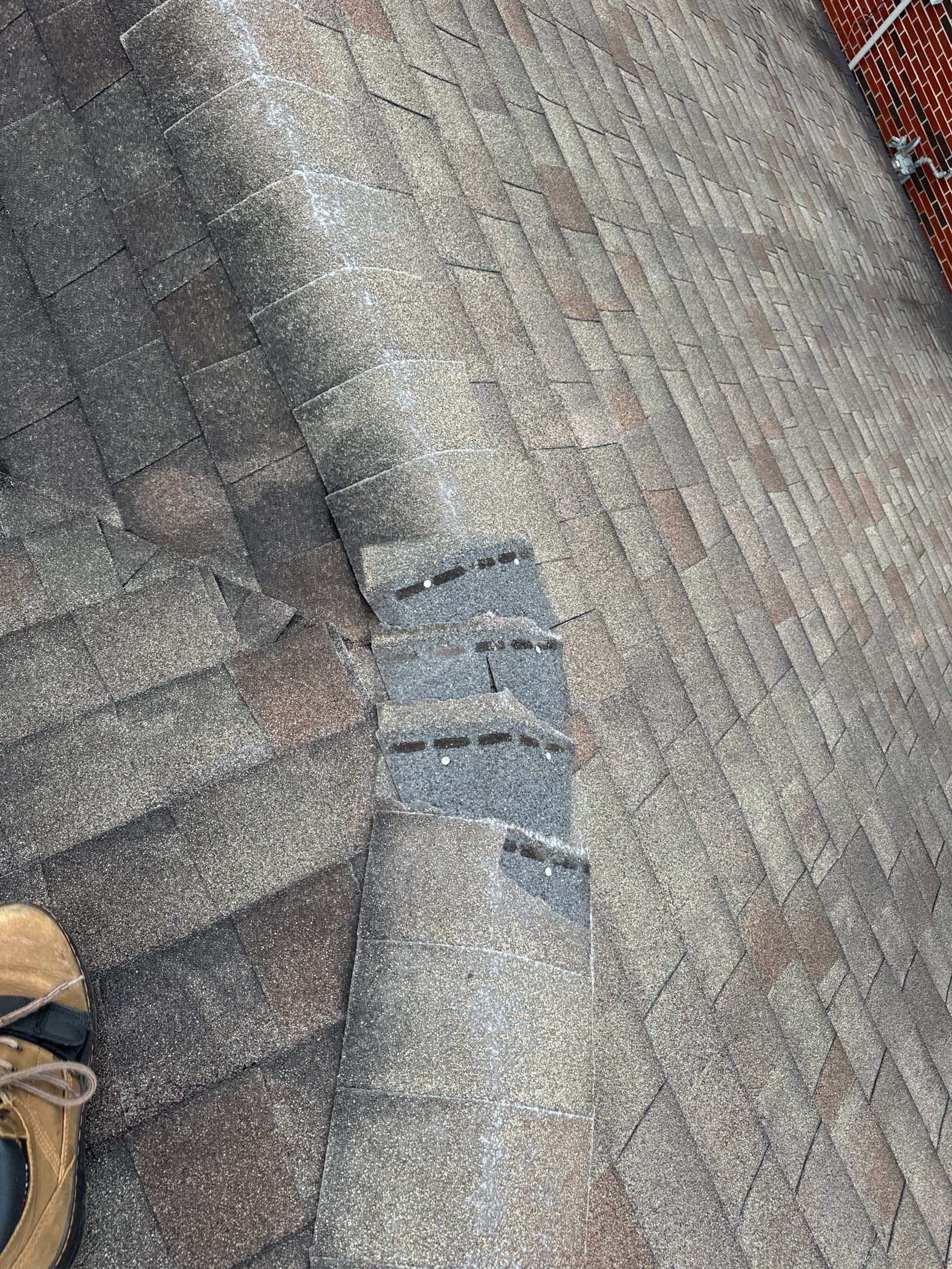 Pasadena Roof Installation using Atlas Pinnacle Pristine by Modern BYLT Roofing & Construction