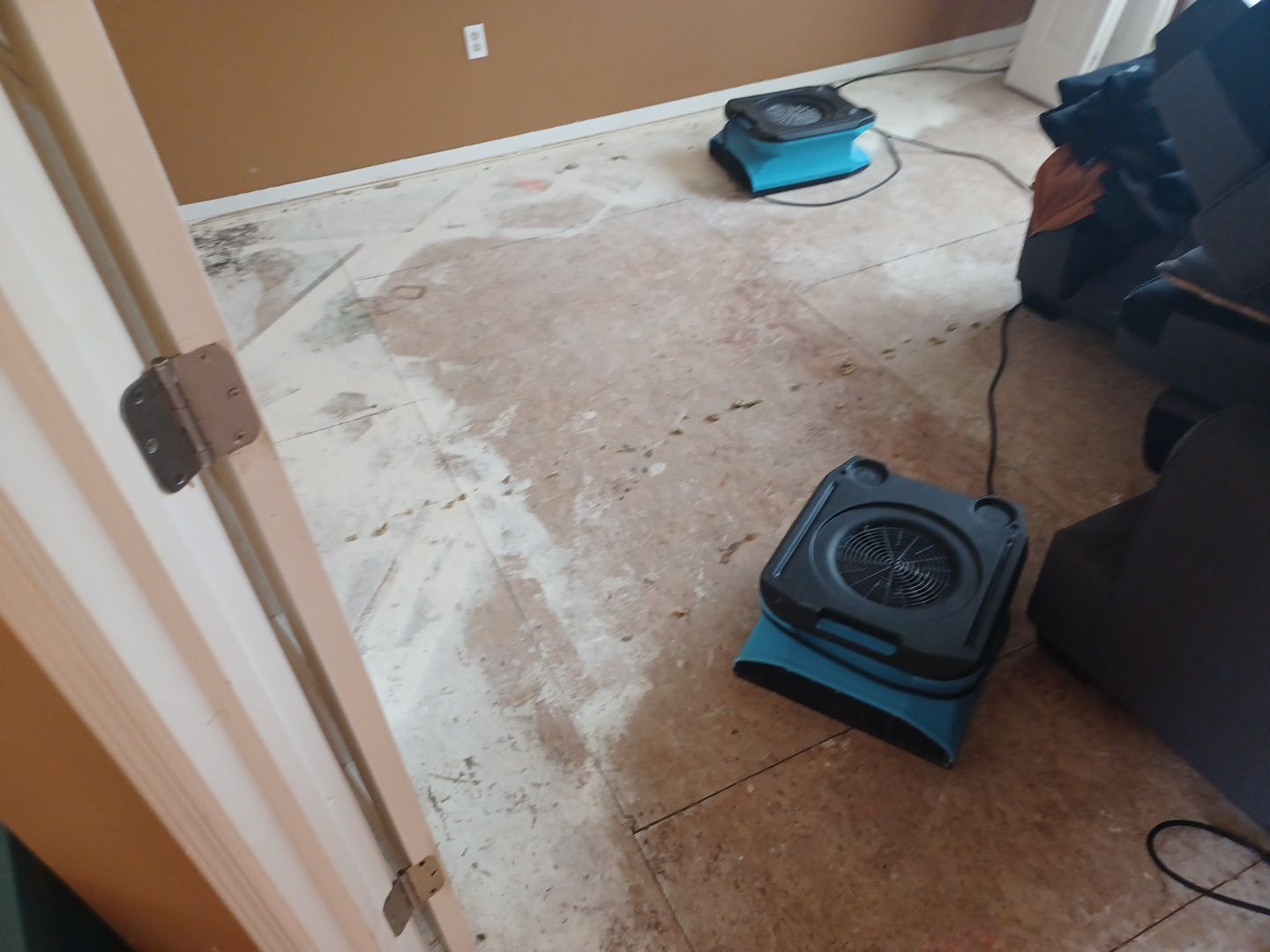 Project in Sterling Heights by EzDry Water Mitigation & Property Restoration