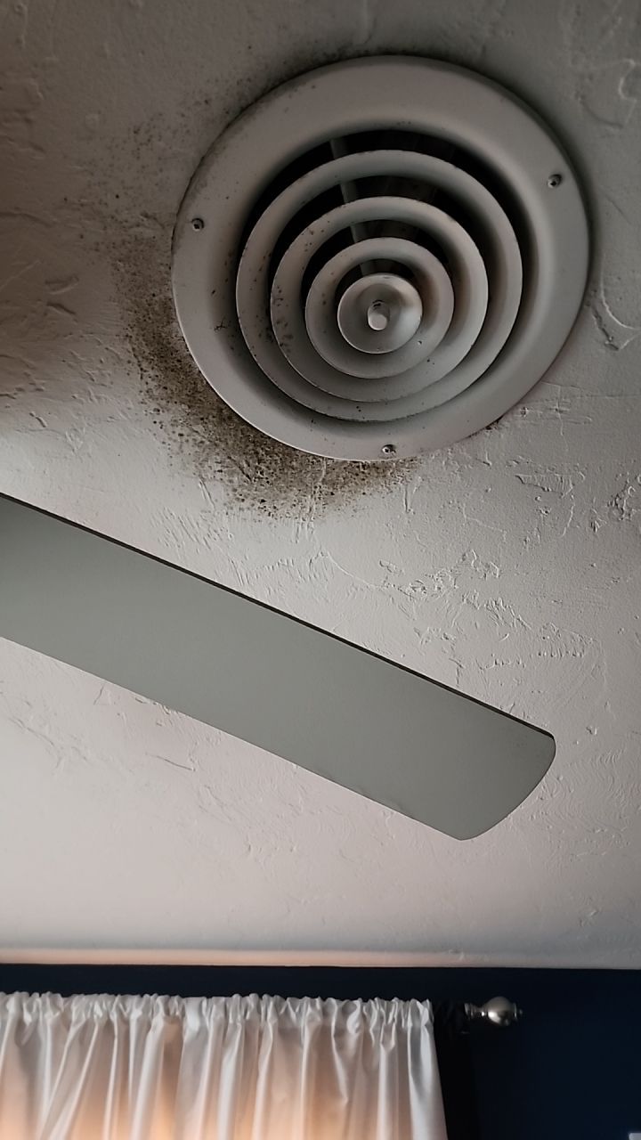 Mold testing by Building performance Solutions LLC