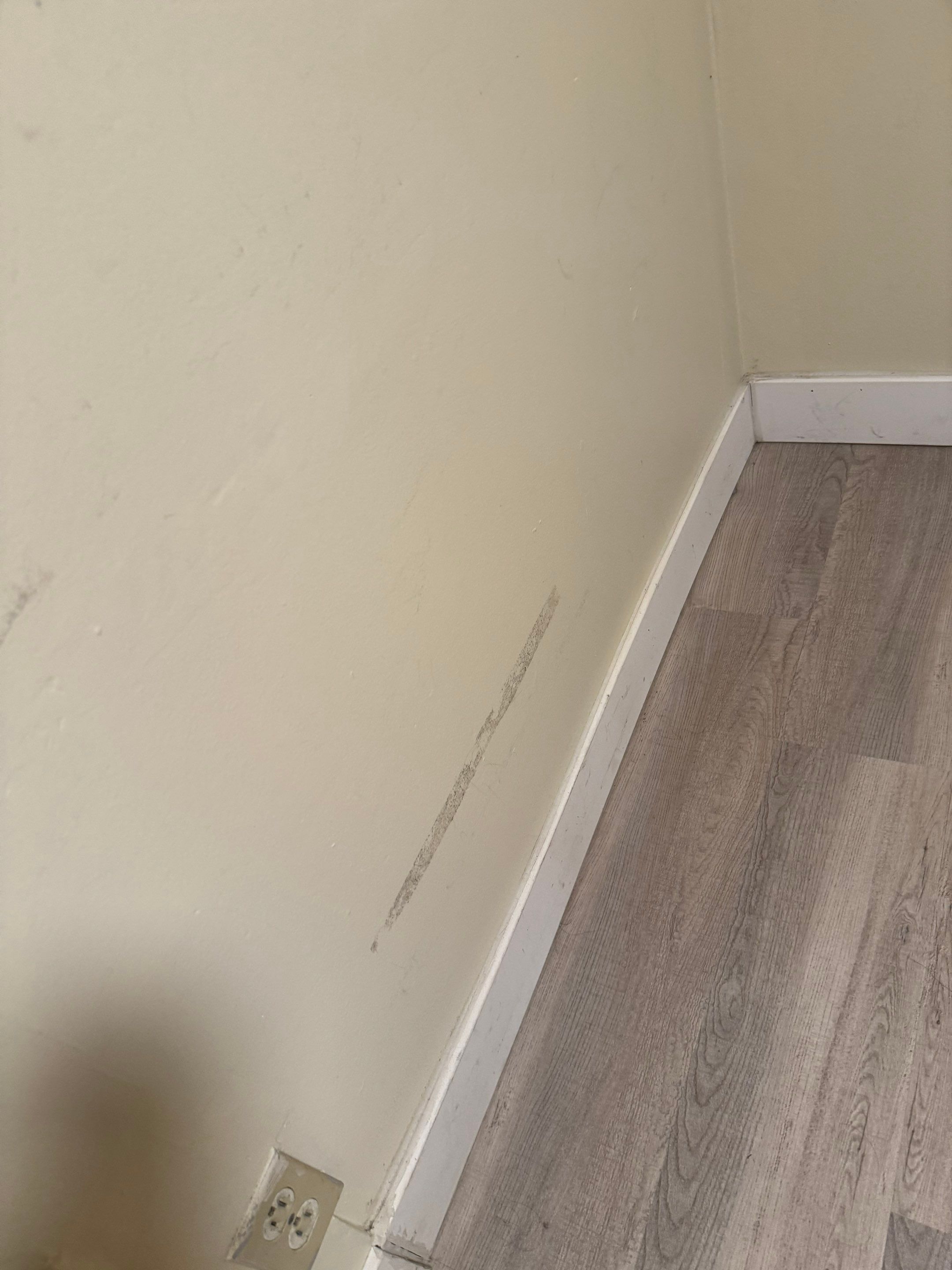 Painting by YVR Construction Group