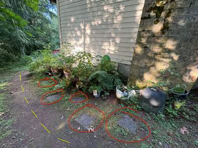 Project in Woodinville 