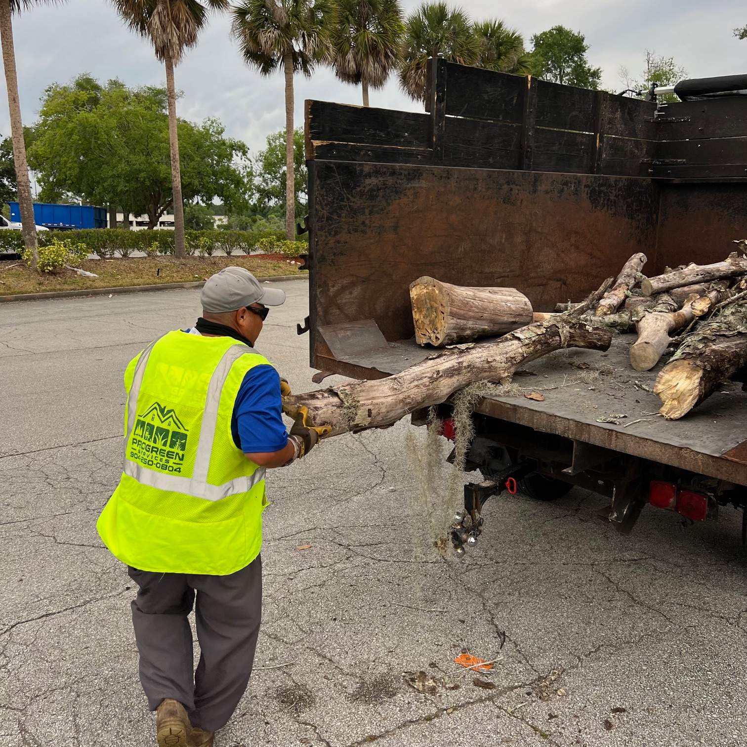Tree Removal | Avenues Mall by ProGreen Services