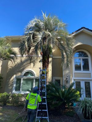 Deerwood Residence | Tree Work