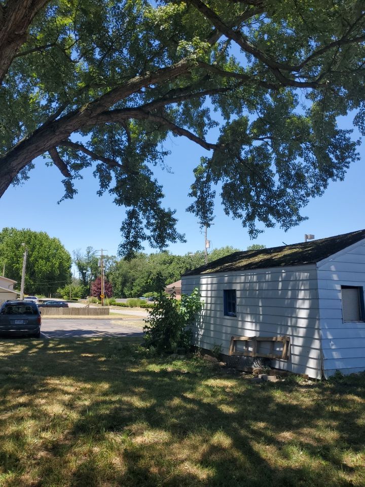 Tree Trimming using Tree Pruing by Mike Jones & Sons Tree Service LLC 