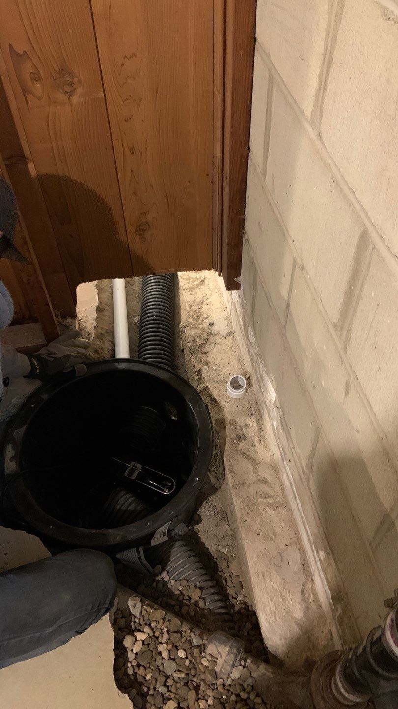 Eliminating Moisture & Mold for Betsy by Waterproofing Northeast