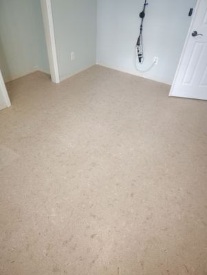 Project in Homosassa, FL