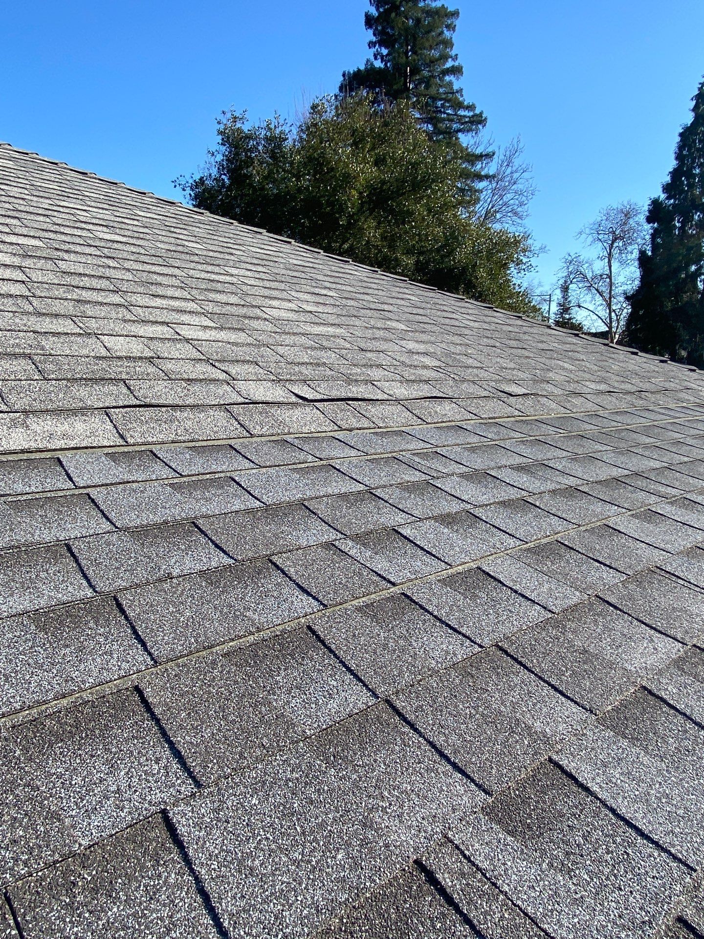 Roof Rejuvenation using Roof Maxx Treatment by Roof Maxx of Folsom
