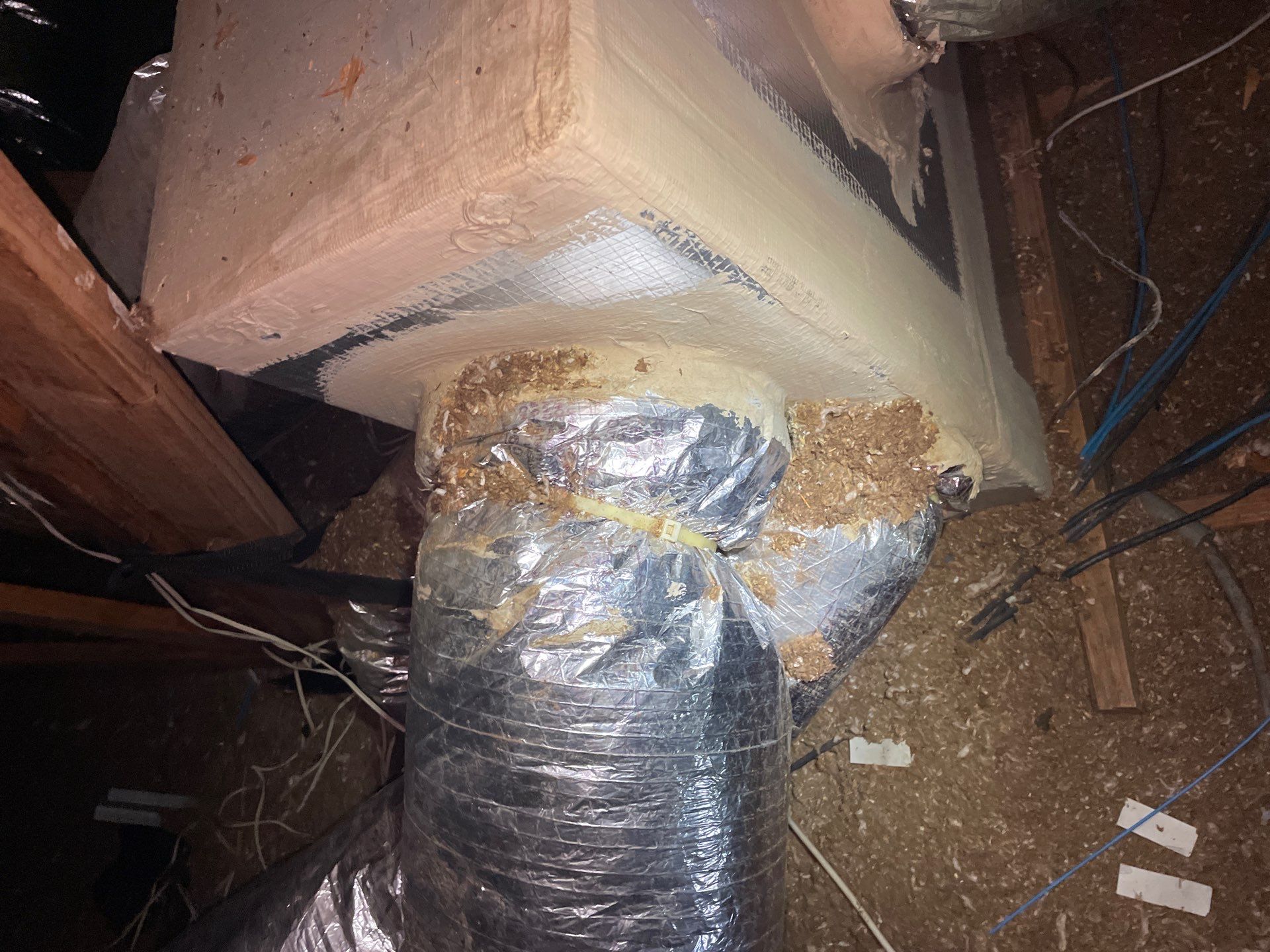 Attic Duct Connections & Exhaust Inspection in Clermont by Hygienic Air, Inc
