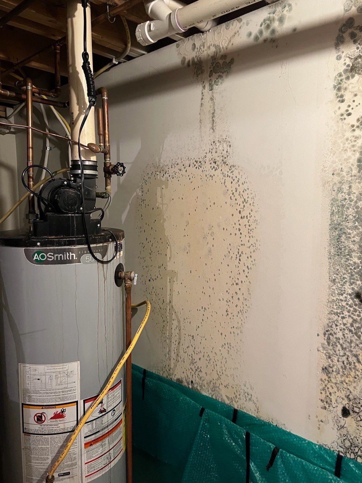 Project in Commerce Charter Twp by EzDry Water Mitigation & Property Restoration