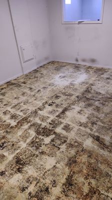Water Damage