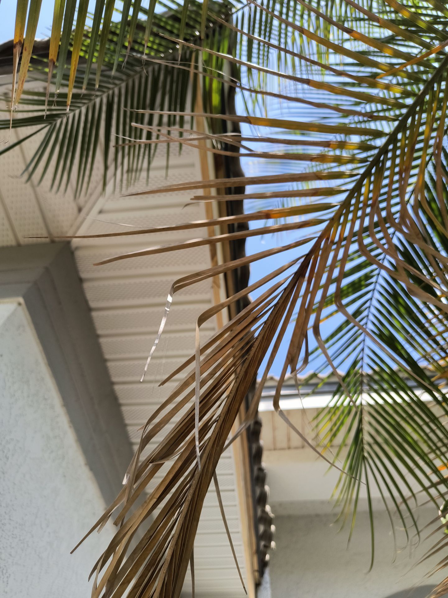 Complete Roofline Upgrade with Soffit, Fascia & Gutters Tampa FL by Gutter Professors