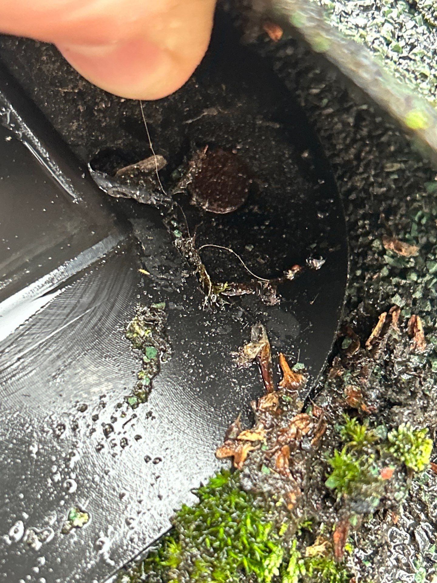 Project in Snohomish by Connolly Construction Company