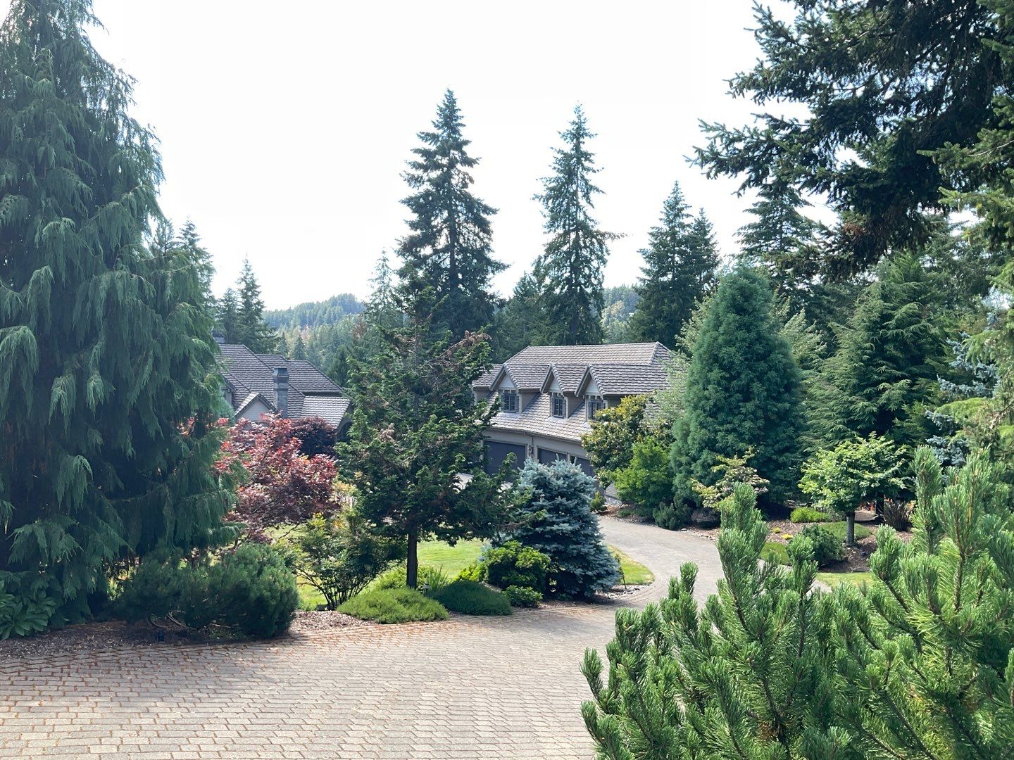 Moss Removal/ Treatment using Biocide by Willamette Outdoor Wash LLC