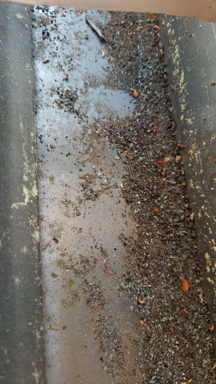 Gutter Cleaning using water by Power Wash Masters LLC