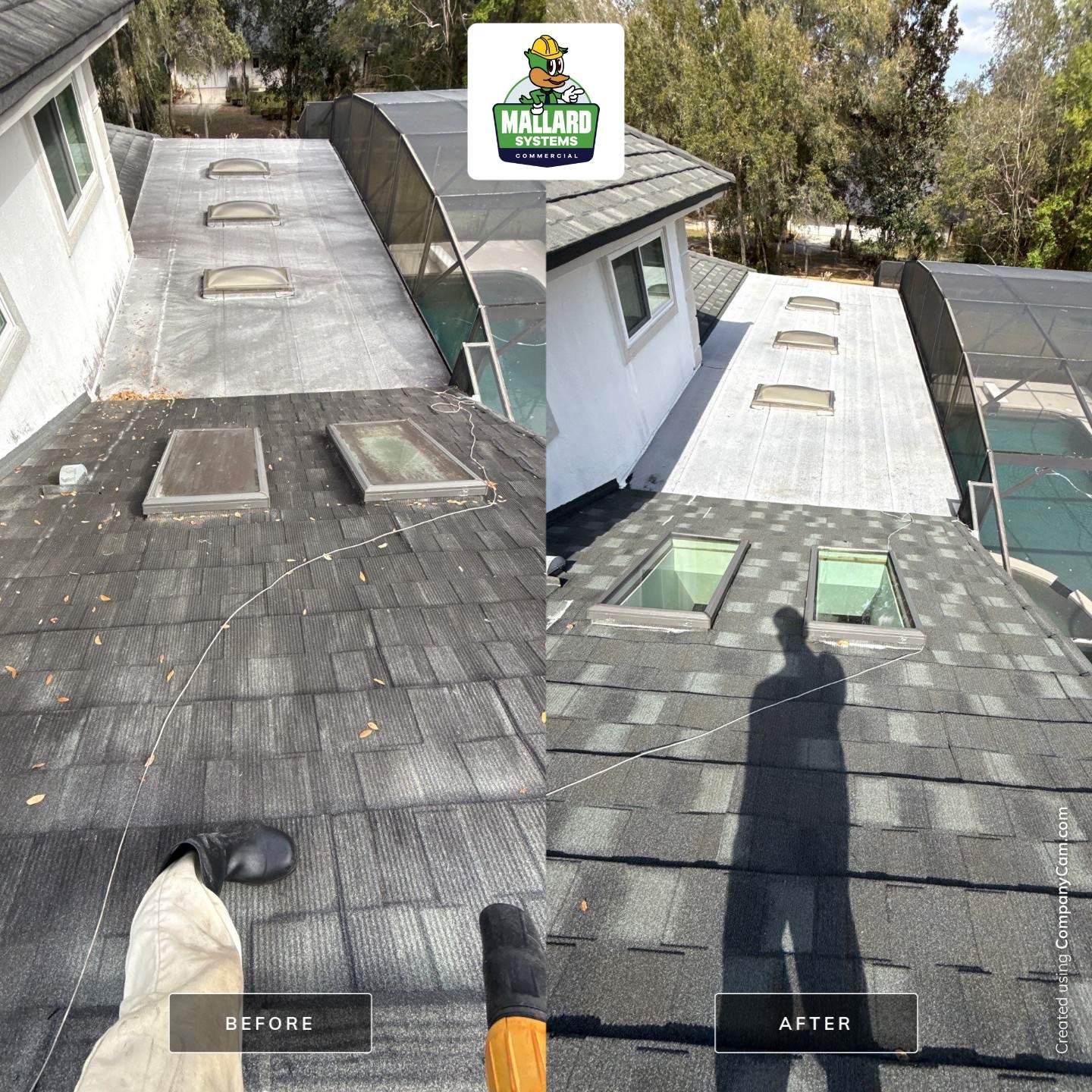 Stone-Coated Metal Roof Cleaning by Mallard Systems