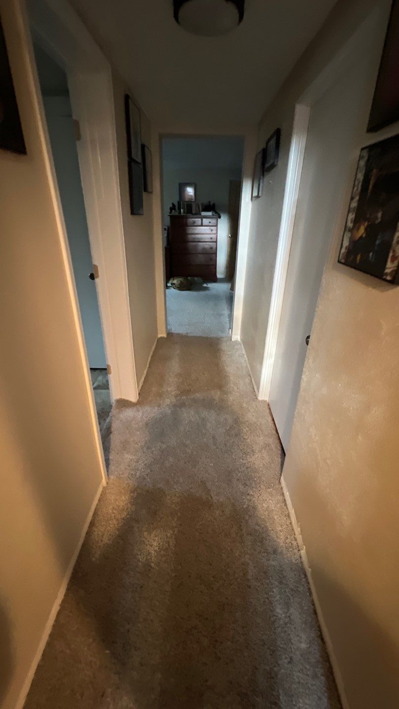 Water Damage and Mold Remediation by Accountable Home Services