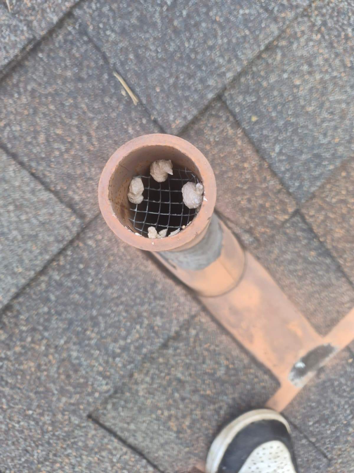 Project in Los Angeles by Advanced Attic Solutions