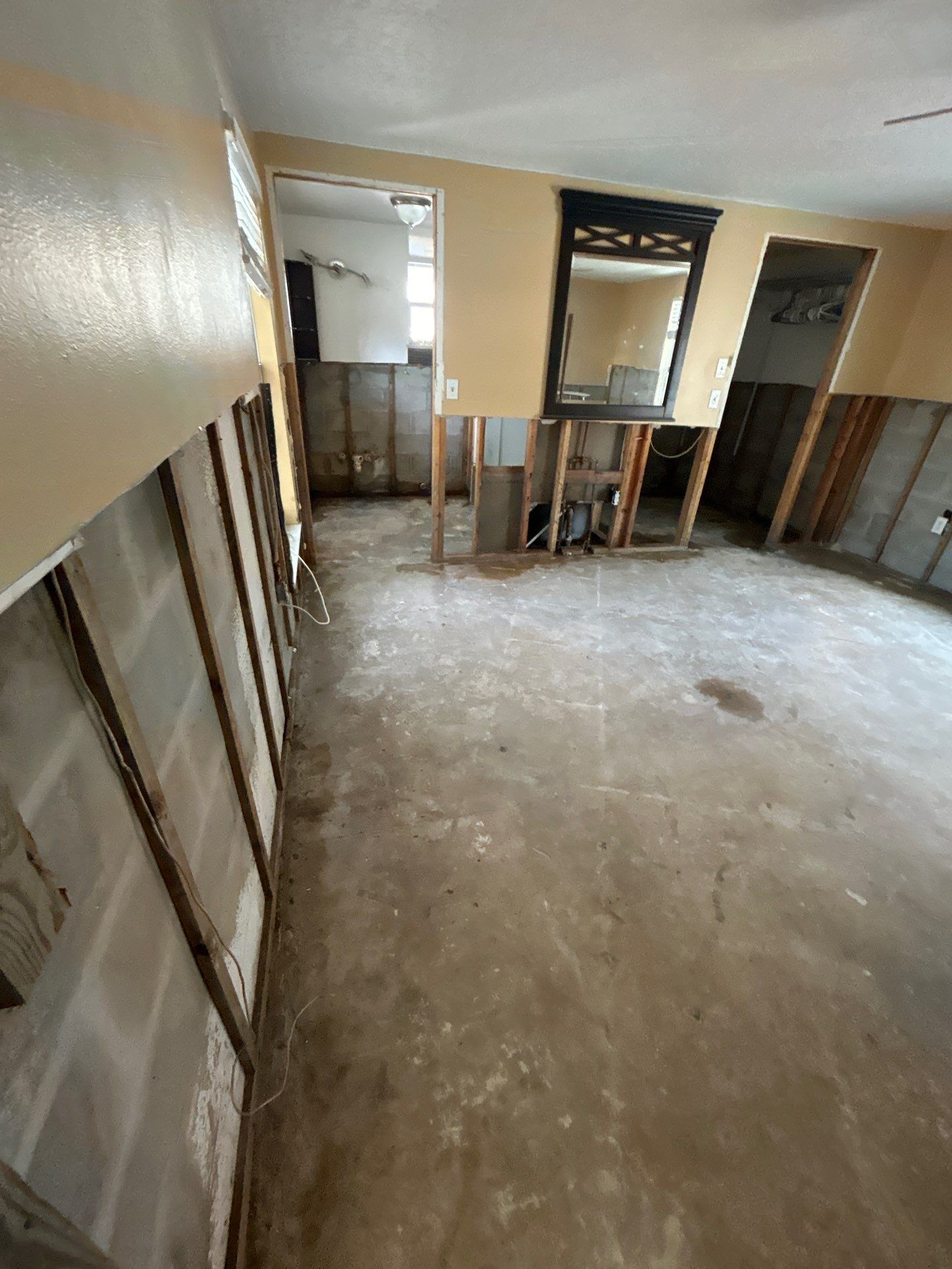 Mold Remediation + Reconstruction Bradenton by Ampm Restoration Services 