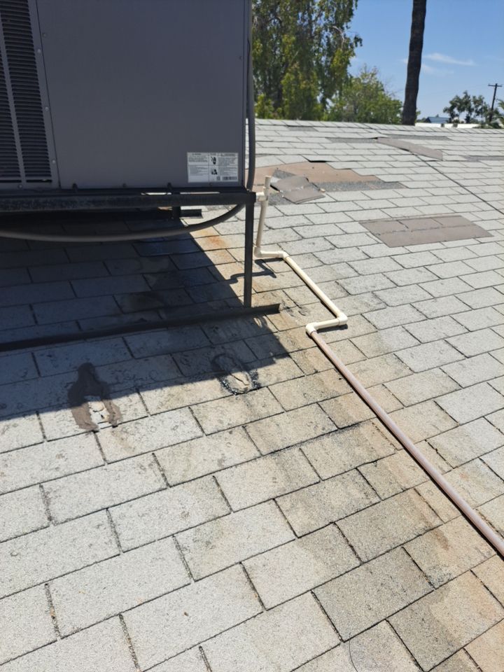 Silver Birch Shingles by Reimagine Roofing