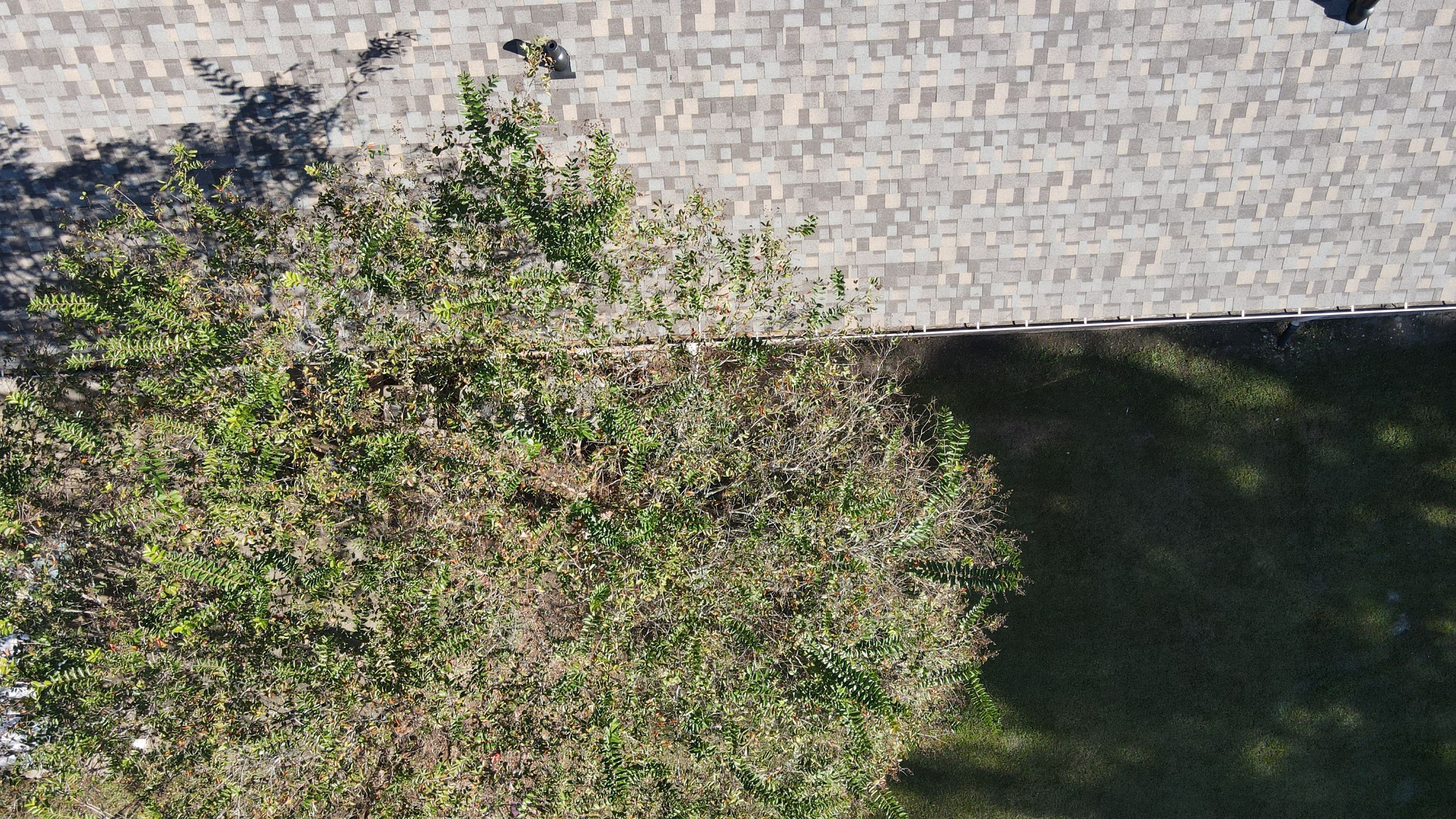 Commercial Roof Replacement by Indigo State Roofing