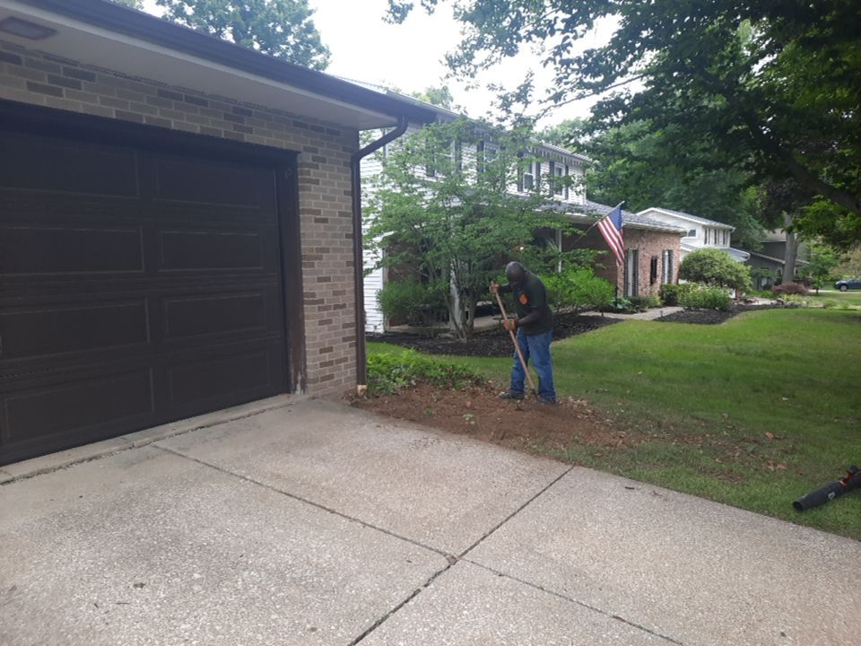 Tree Removal using Tree Removal by Mike Jones & Sons Tree Service LLC 