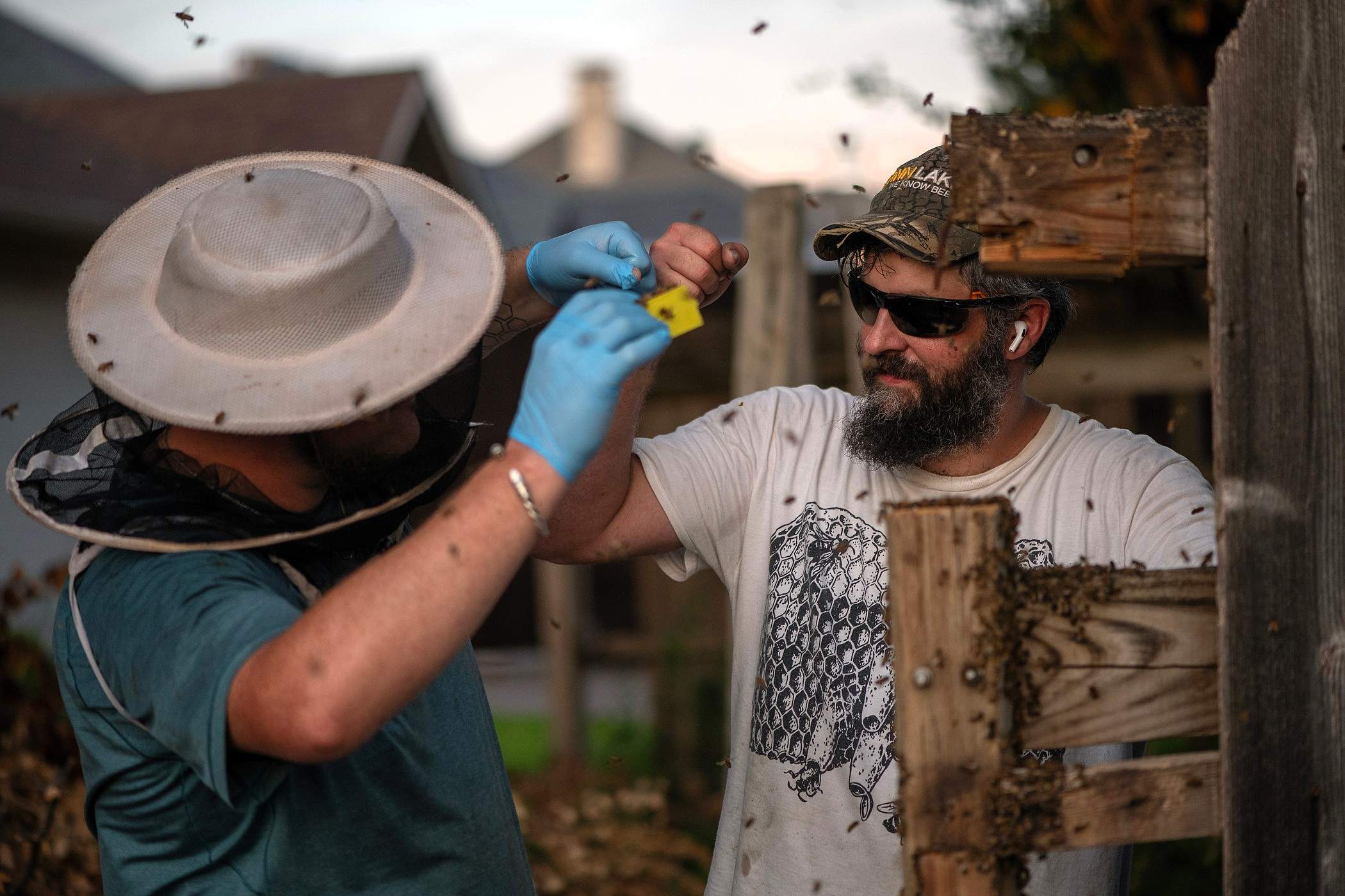 Brick Column by Rockwall Honey Bee Company